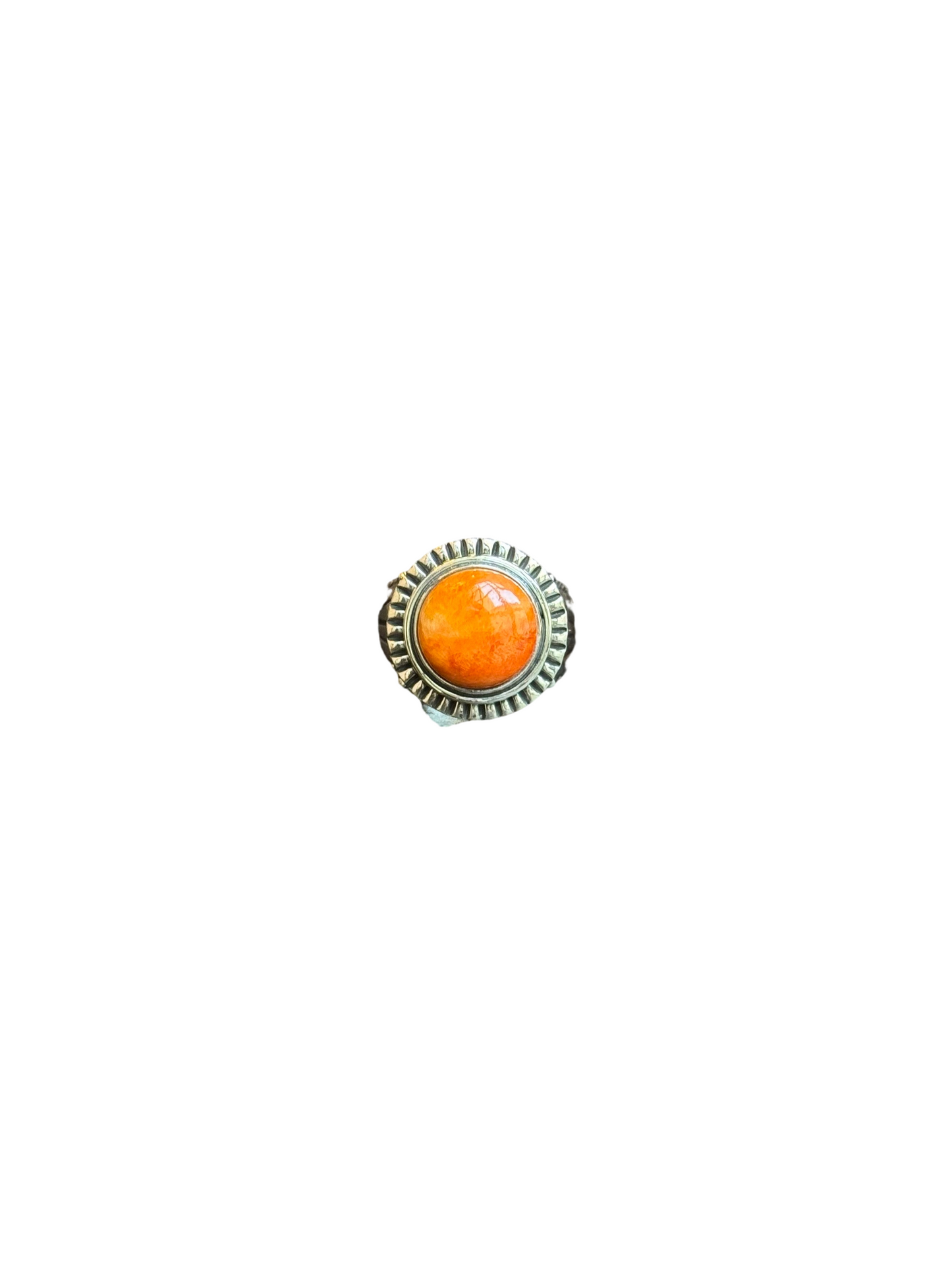 auto_whitebg:main_image_id=35480824840253