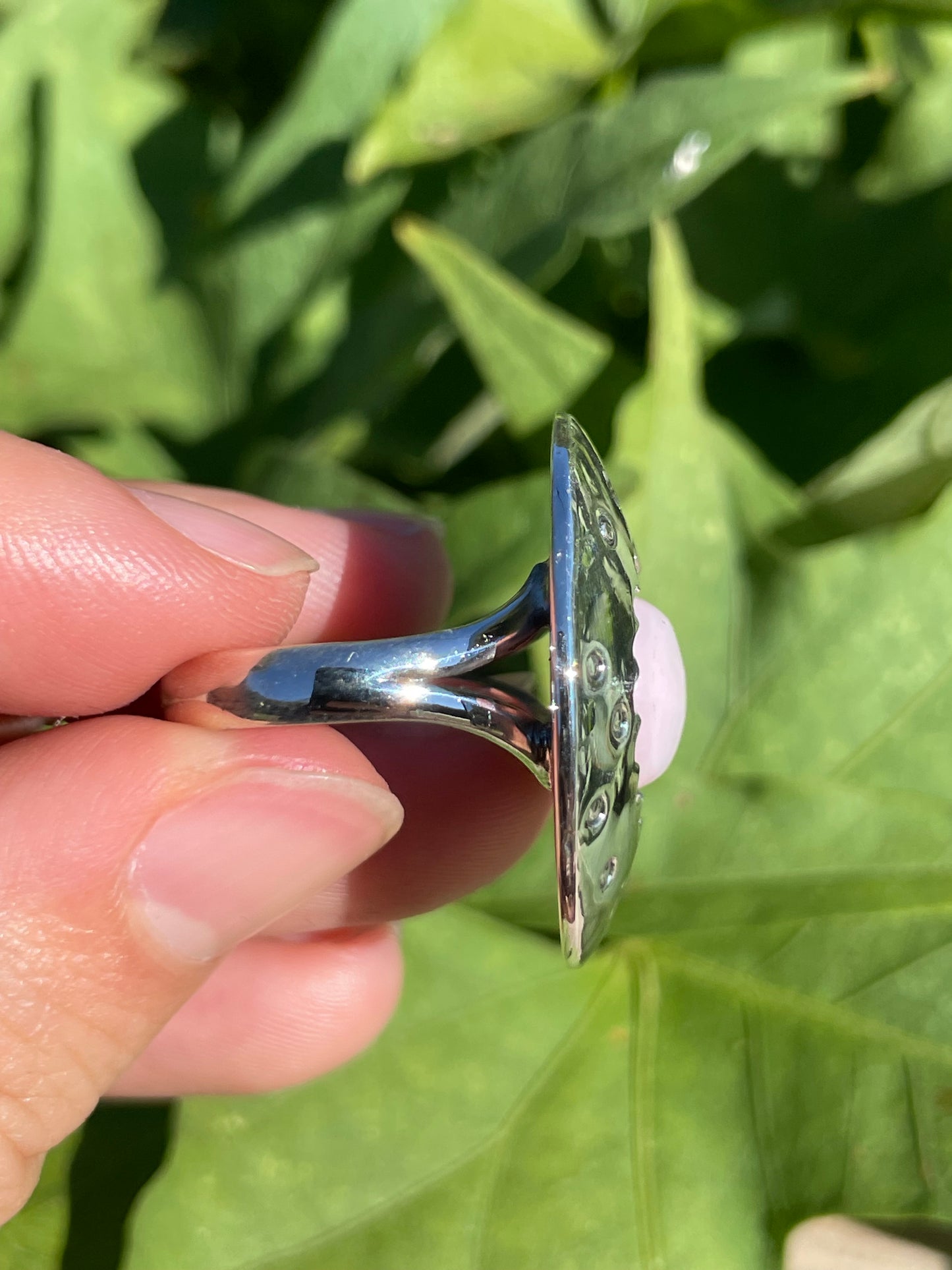 Pink Conch Shadow Box Ring | 925 Sterling Silver | Size 9 B363