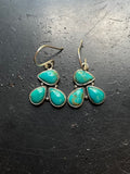 Kingman Turquoise Hook Earrings | 925 Sterling Silver G641