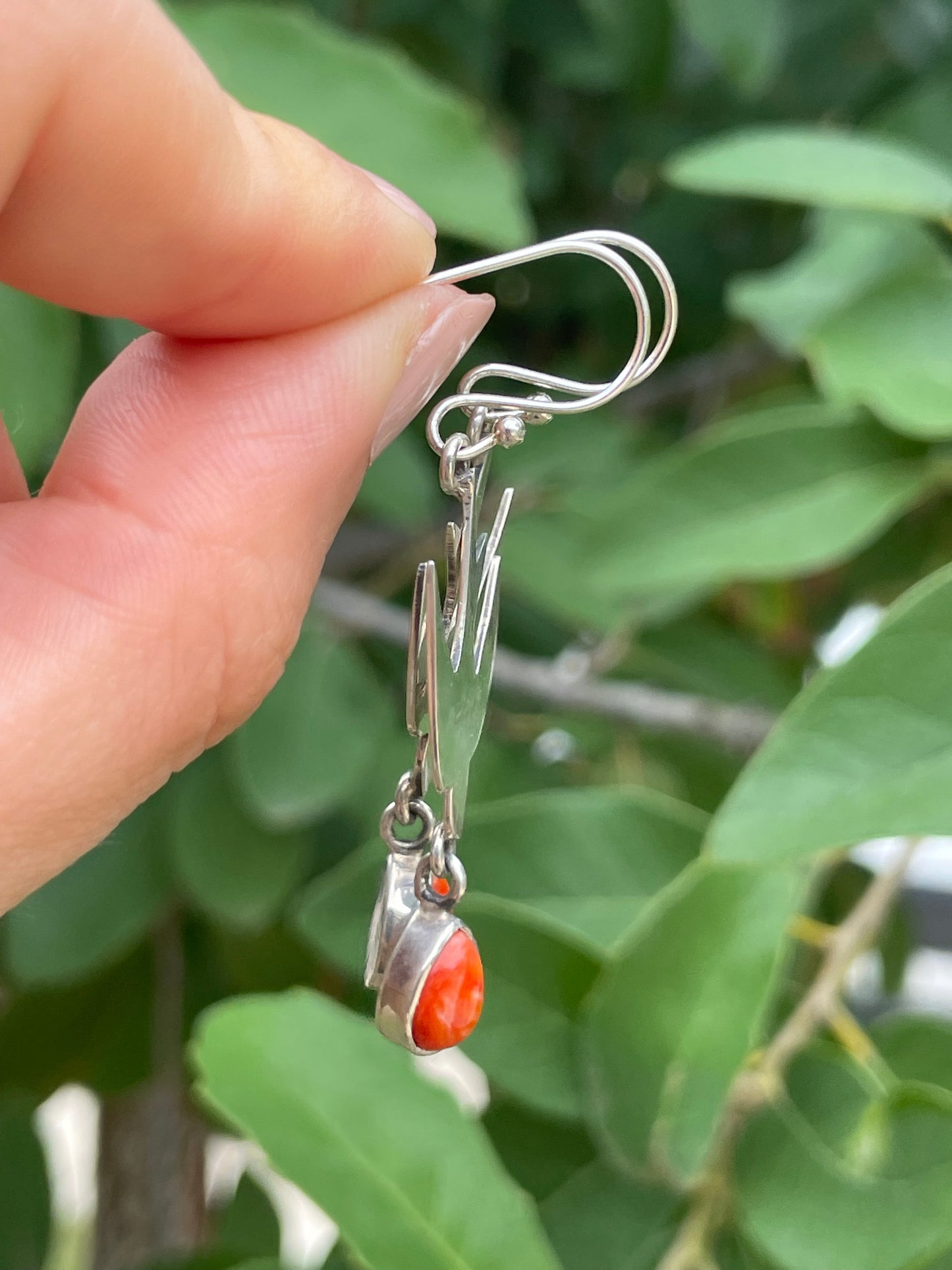 Spiny Oyster Bird Hook Earrings | 925 Sterling Silver D197