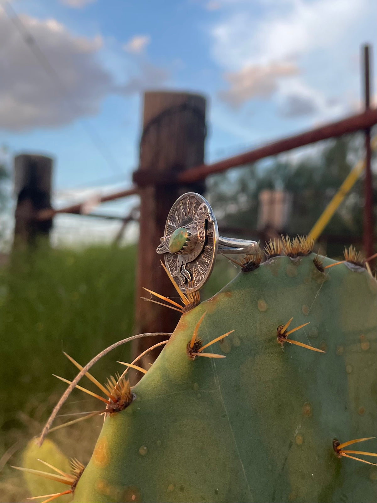 Turquoise Bird Ring Size 8 | 925 Sterling Silver G764