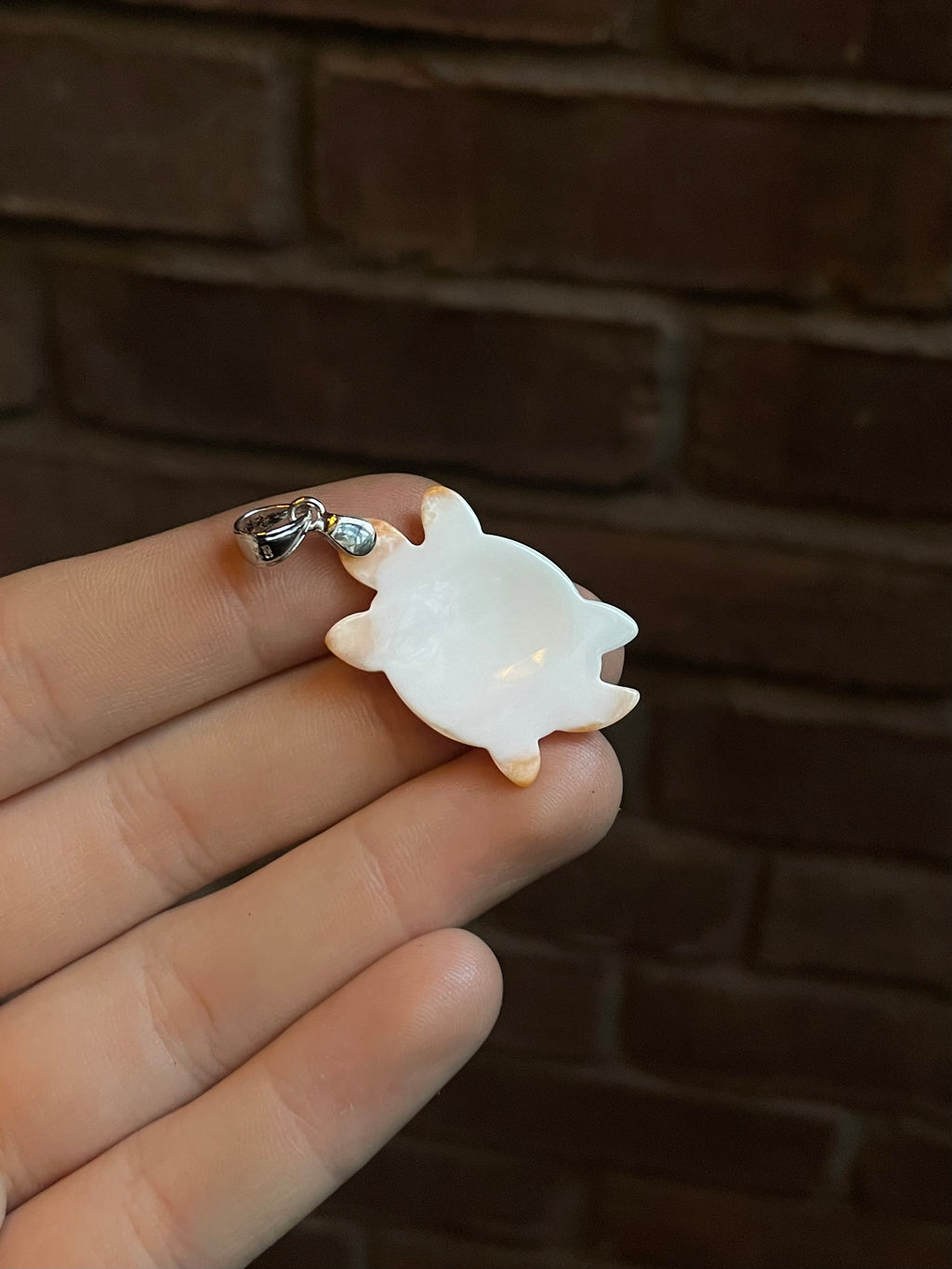 Spiny Oyster Turtle Pendant | Sterling Silver 925 C796