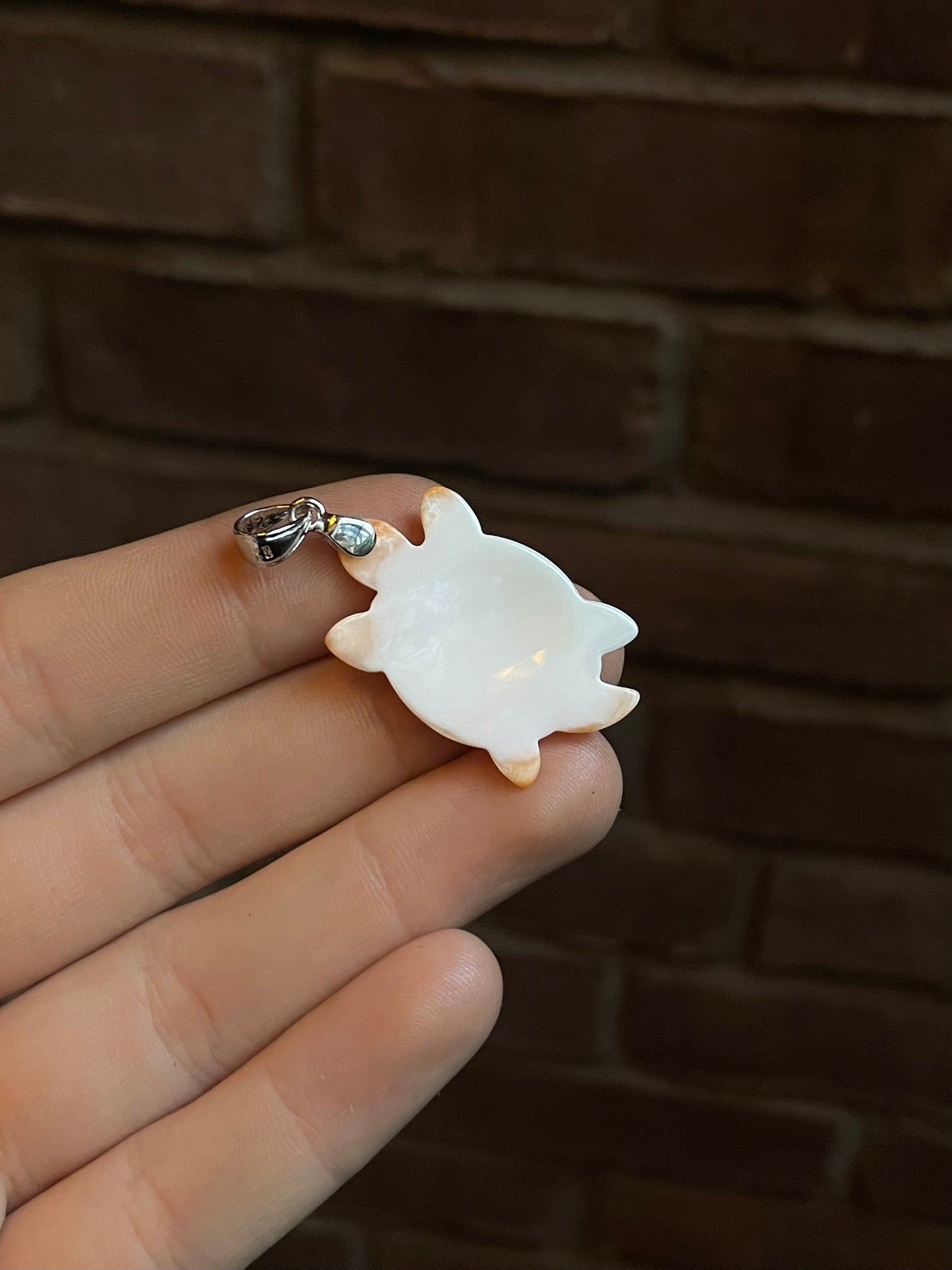 Spiny Oyster Turtle Pendant | Sterling Silver 925 C796