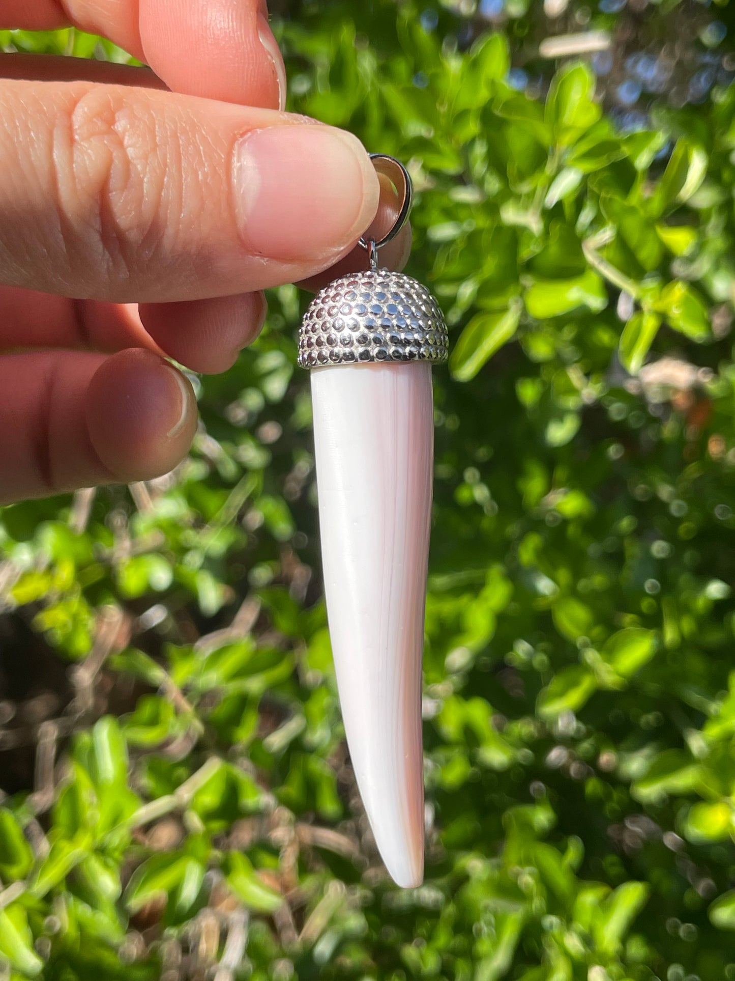 Pink Conch Tusk Pendant | 925 Sterling Silver B605