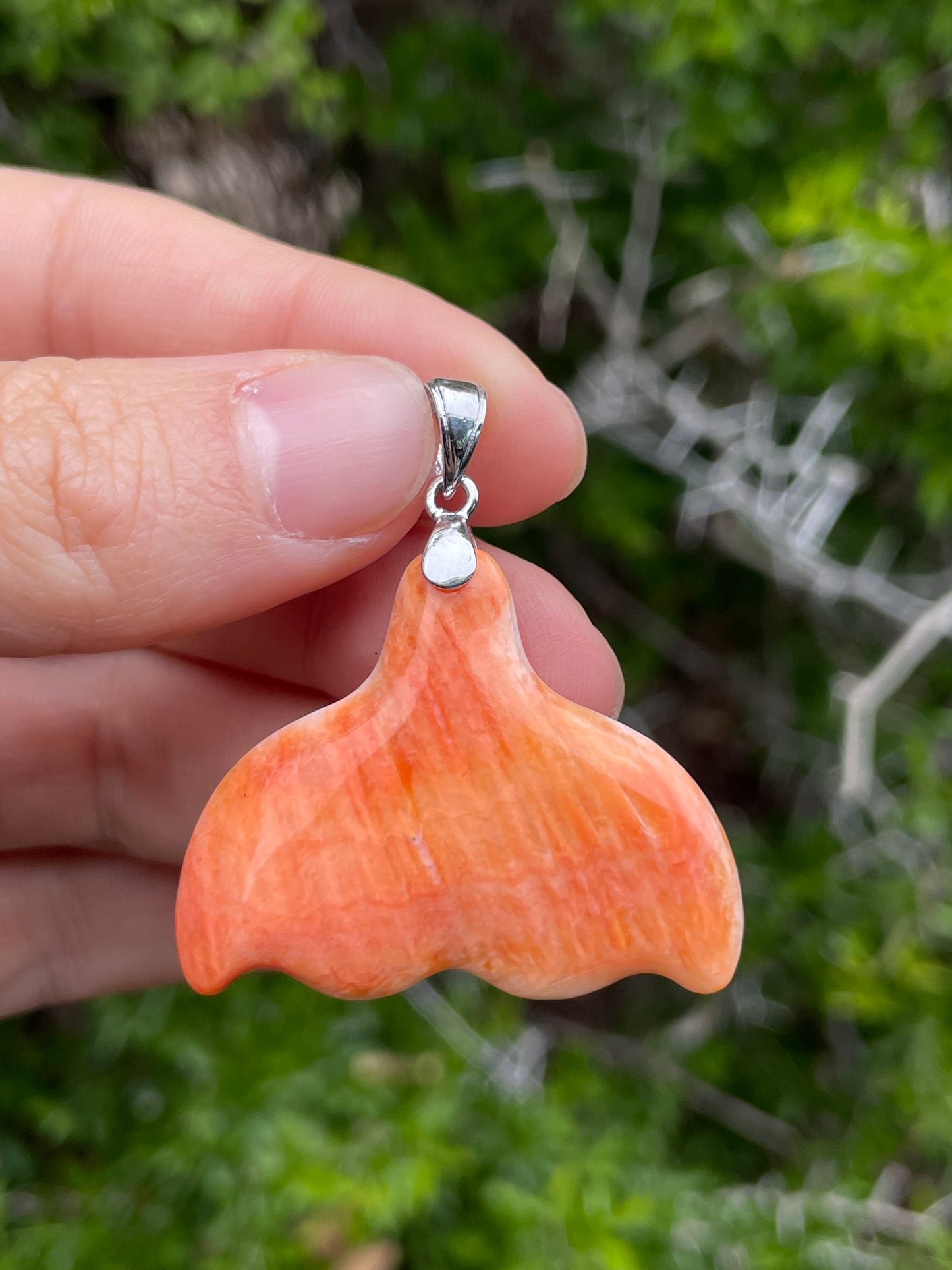 Spiny Oyster Whale Tail Pendant | Sterling Silver 925 B736