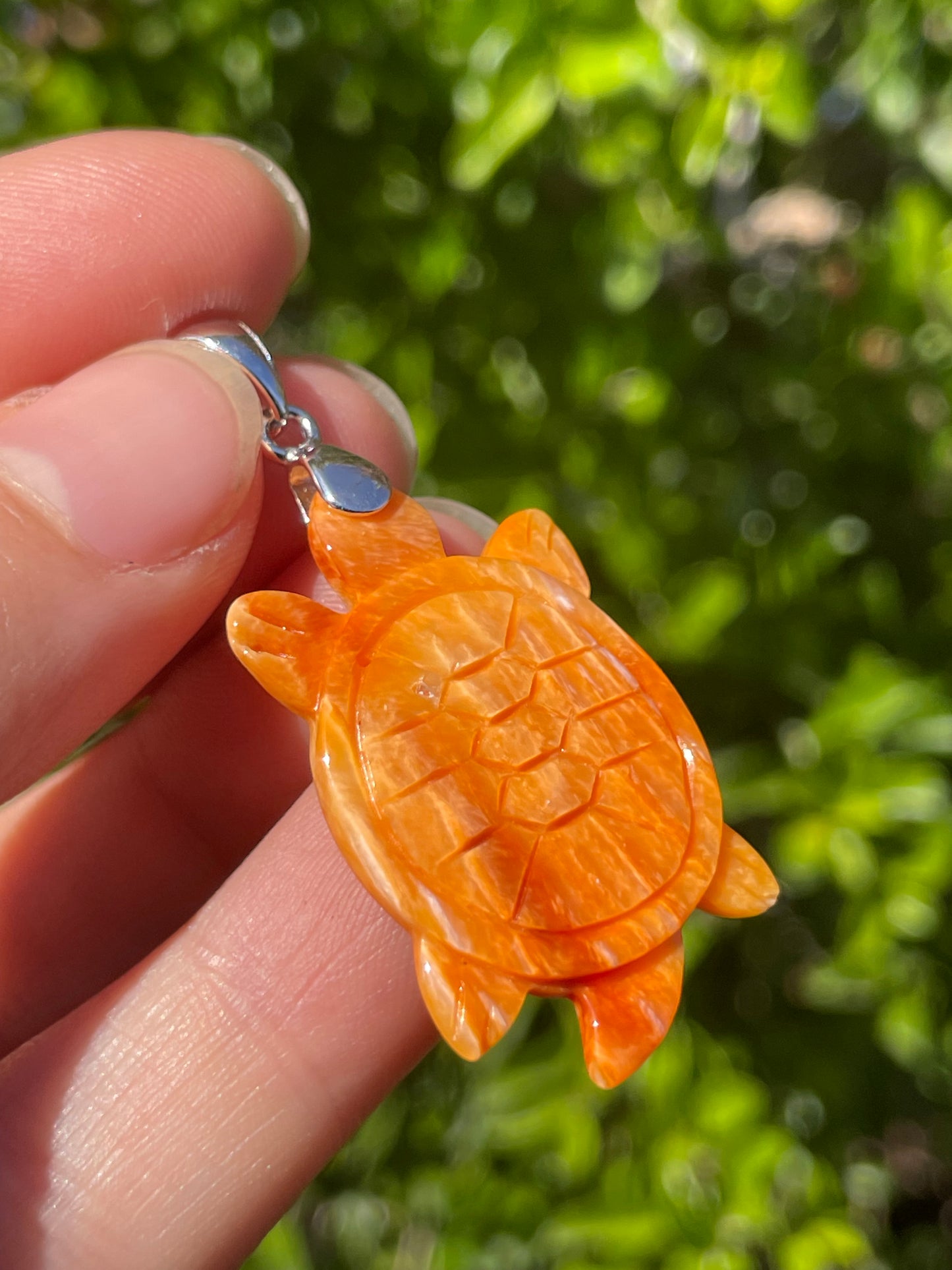 Spiny Oyster Turtle Pendant | 925 Sterling Silver B606