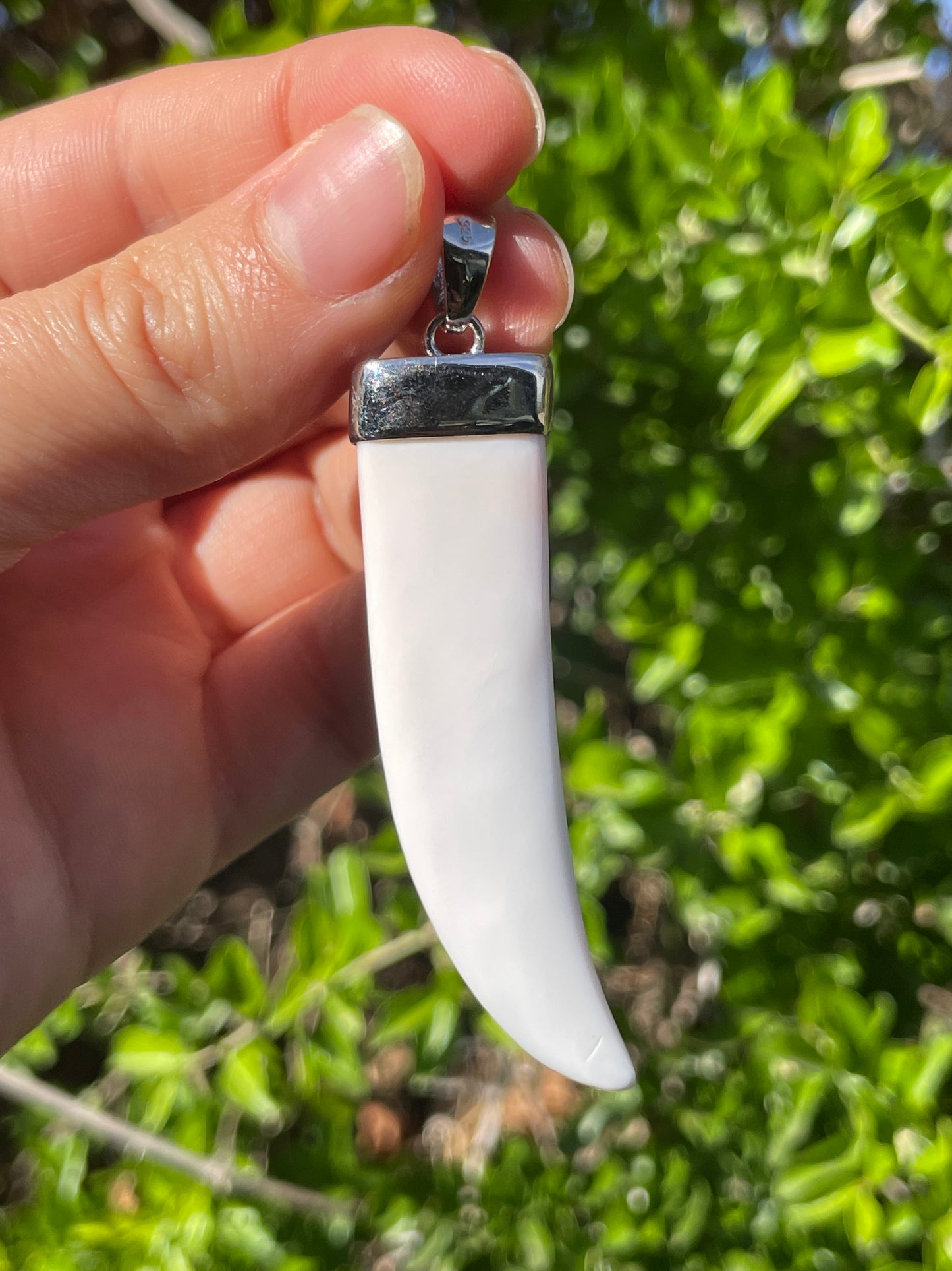 Pink Conch Pendant | 925 Sterling Silver B598