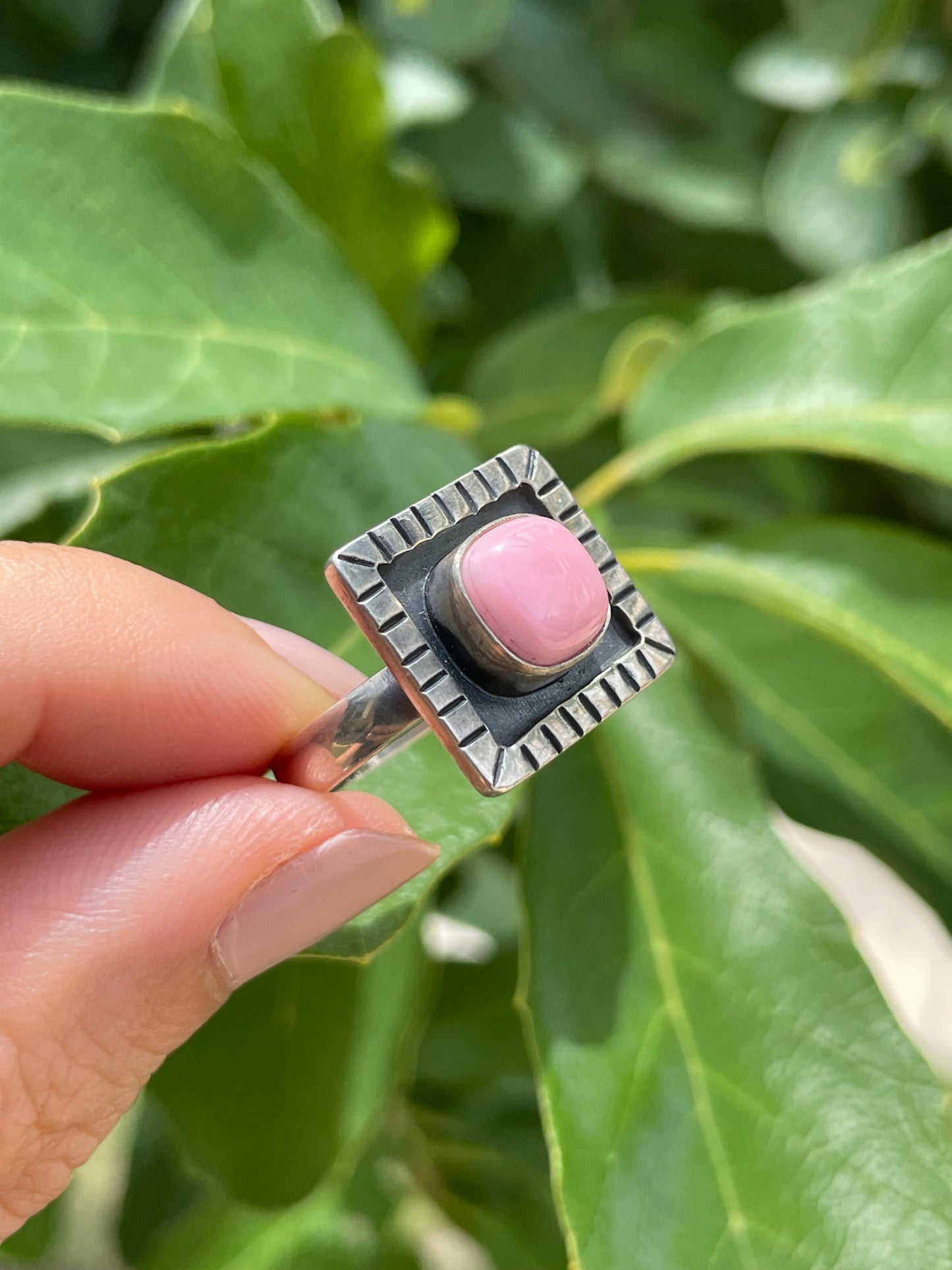 Pink Conch Ring Size 7.5 | 925 Sterling Silver D180