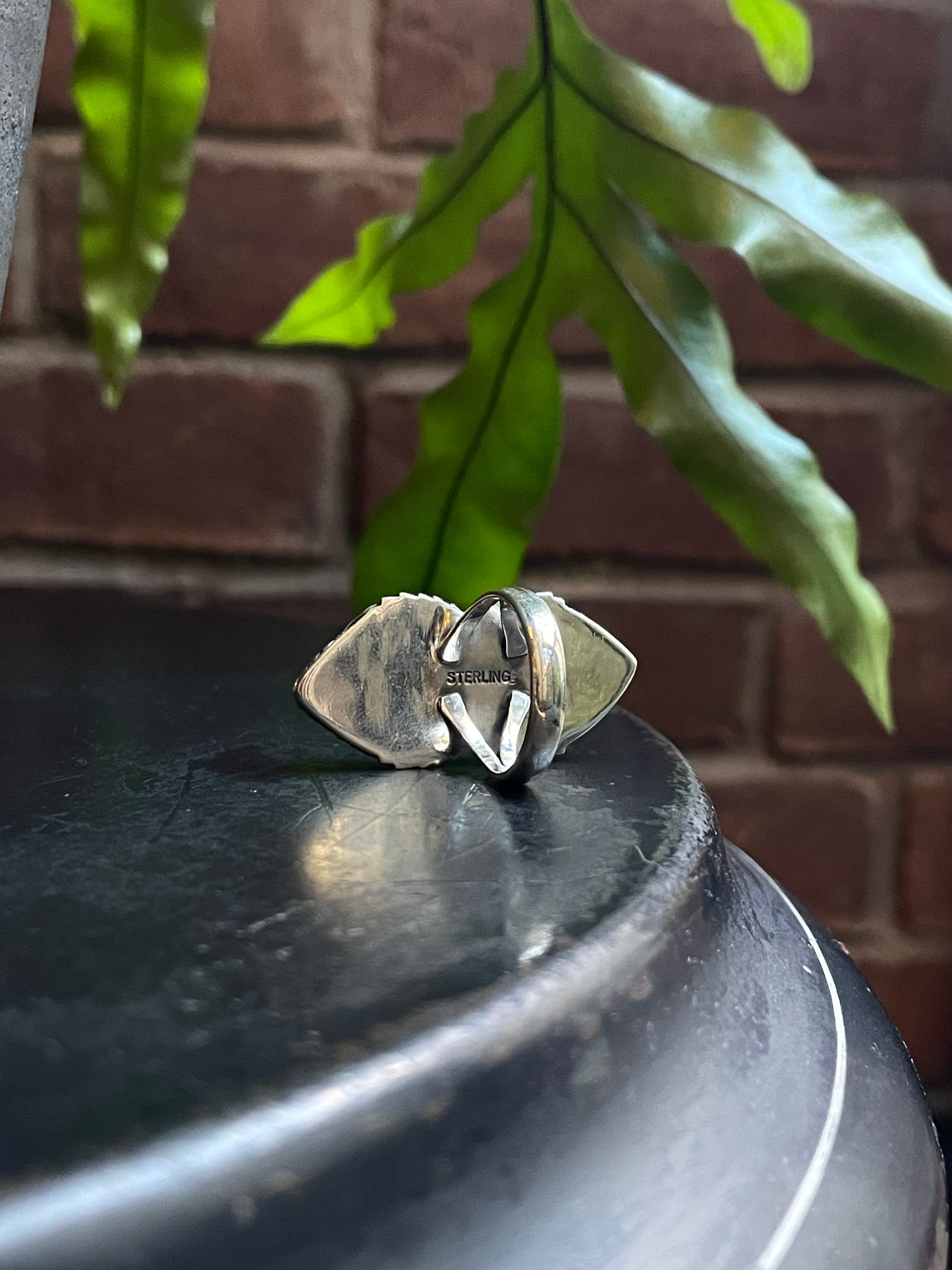 Pink Conch Feather Ring Size 7 | 925 Sterling Silver C571
