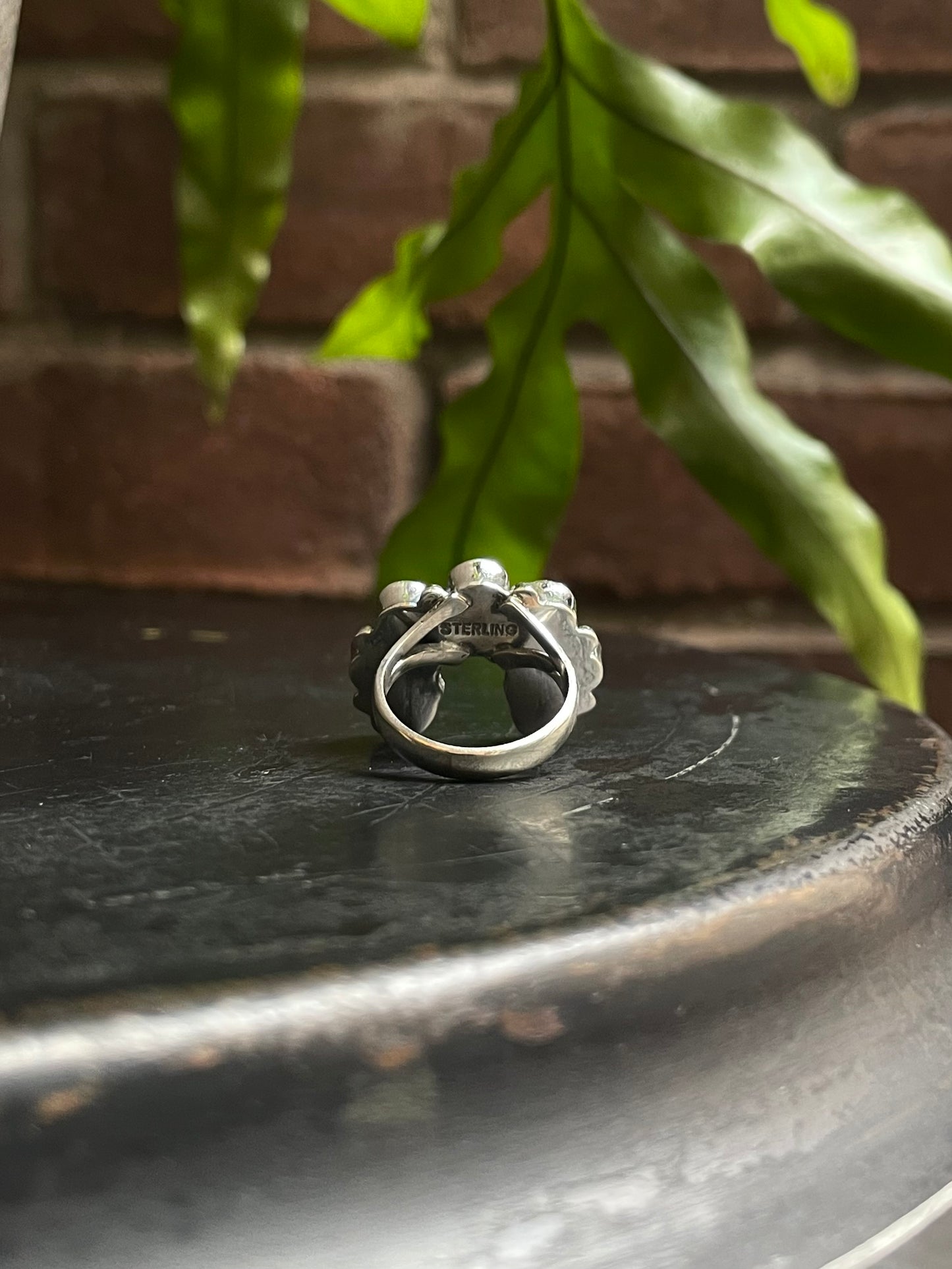 Kingman Turquoise Naja Ring | Sterling Silver 925 | Size 6 C597