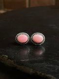 Pink Conch Stud Earrings | 925 Sterling Silver E791