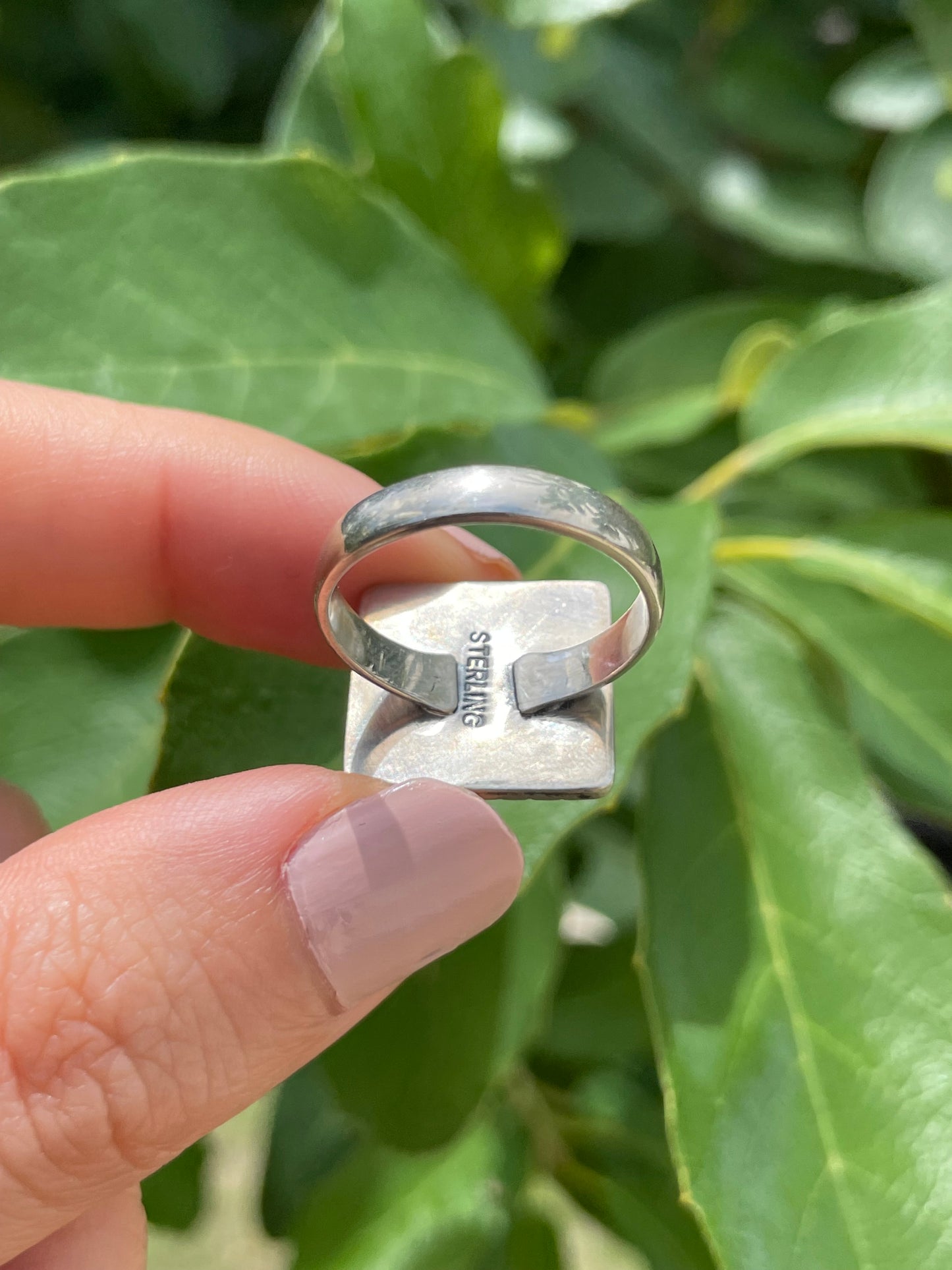 Pink Conch Ring Size 7.5 | 925 Sterling Silver D180