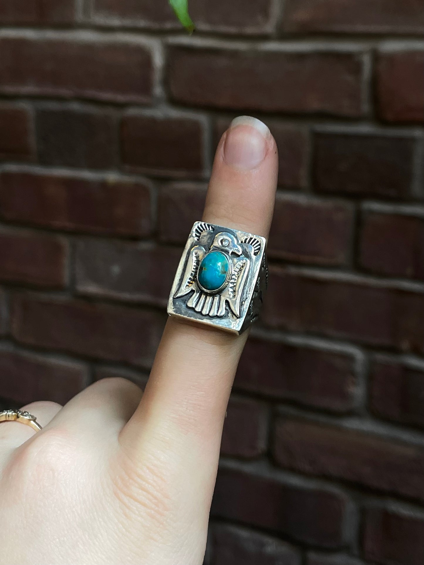 Kingman Turquoise Thunderbird Ring | 925 Sterling Silver | Size 8.75 E313