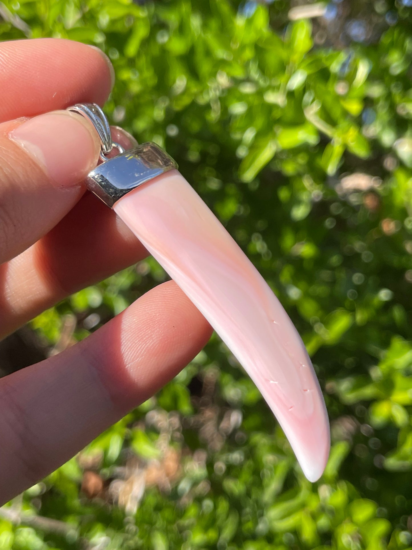 Pink Conch Pendant | 925 Sterling Silver B598
