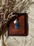 Dahlia Pendant Oval 2.14 | Sterling Silver | A785