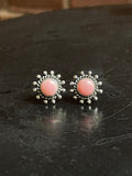 Pink Conch Stud Earrings | 925 Sterling Silver E794