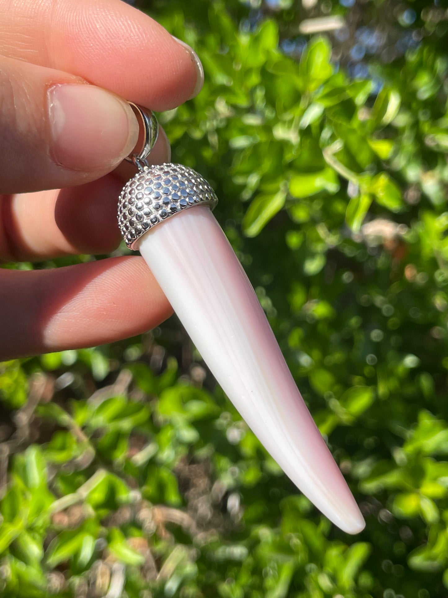 Pink Conch Tusk Pendant | 925 Sterling Silver B605
