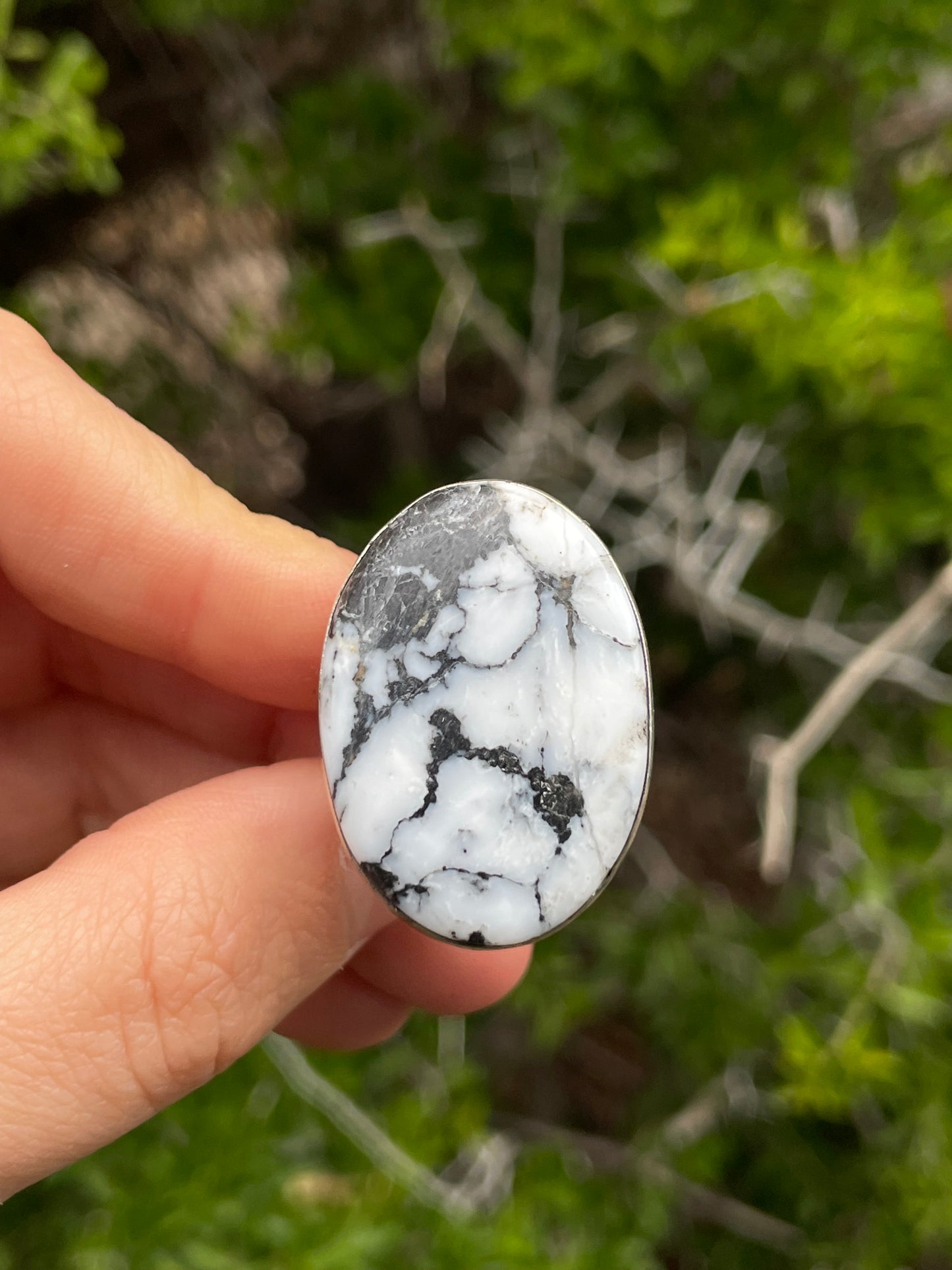 White Buffalo Ring | Sterling Silver | Size 7 B762