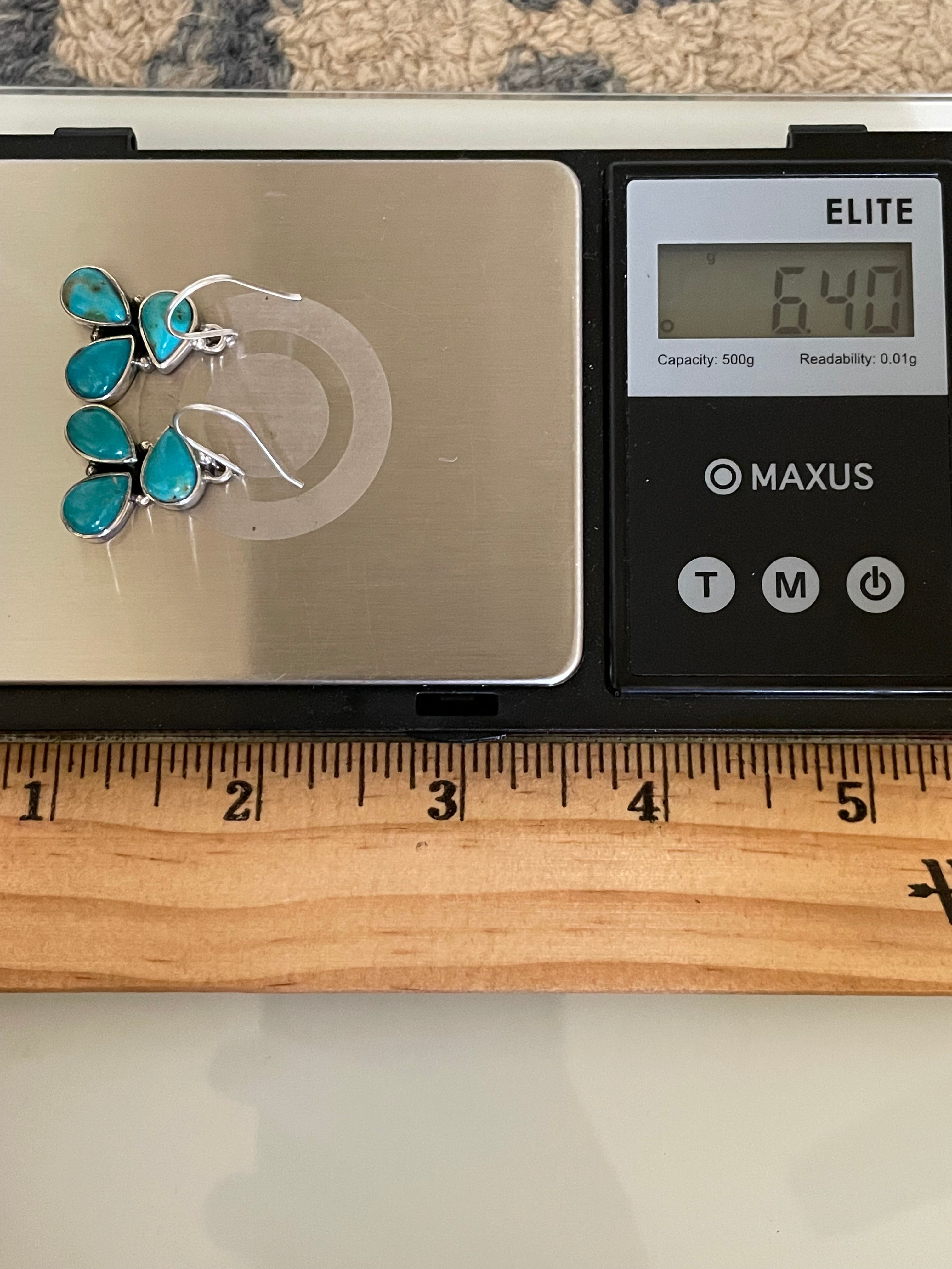 Kingman Turquoise Hook Earrings | 925 Sterling Silver G641