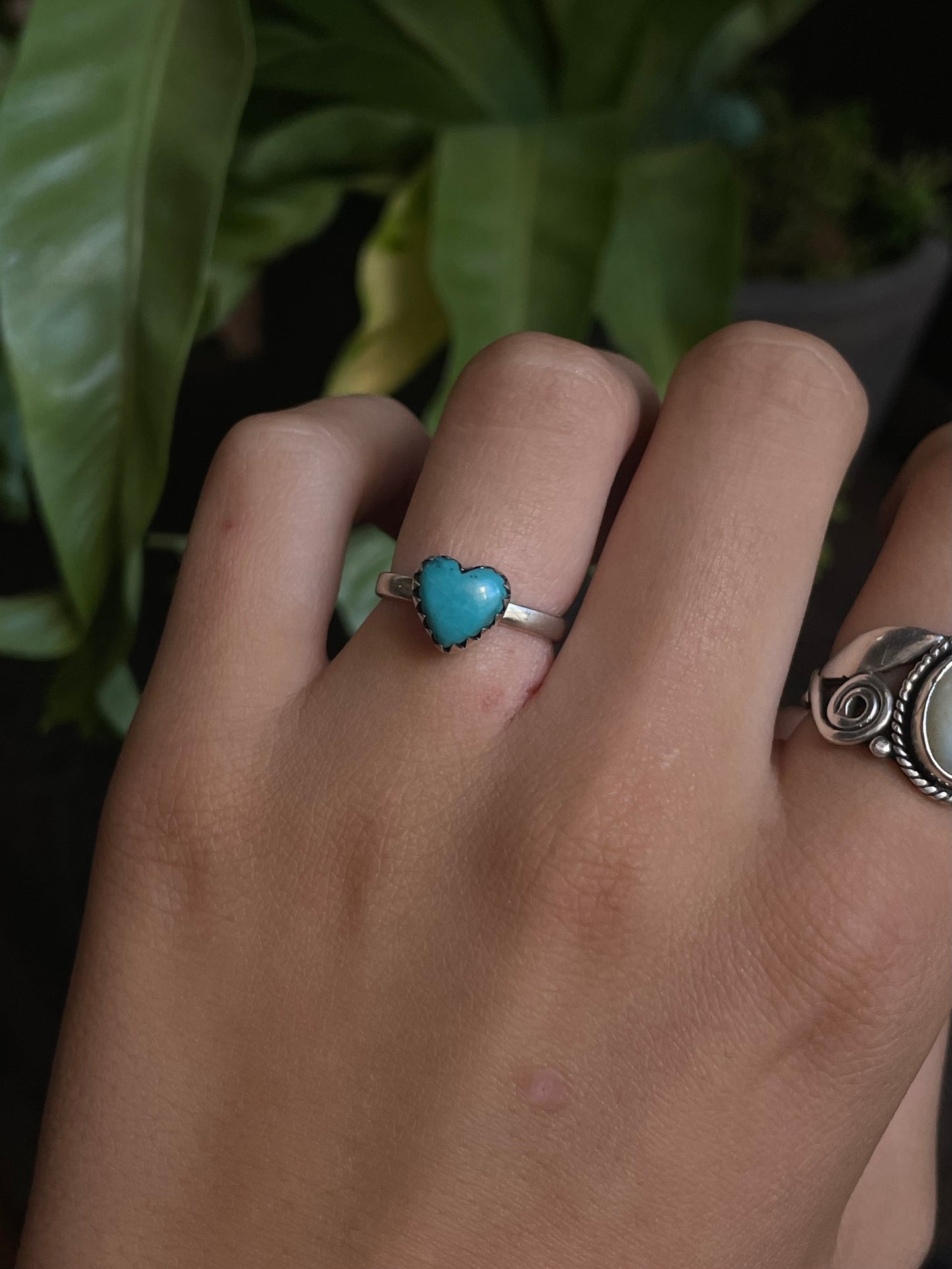 Kingman Turquoise Heart Ring | Sterling Silver | Size 6 G385