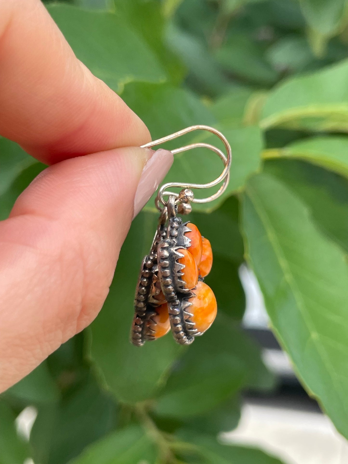 Spiny Oyster Hook Earrings | 925 Sterling Silver D196