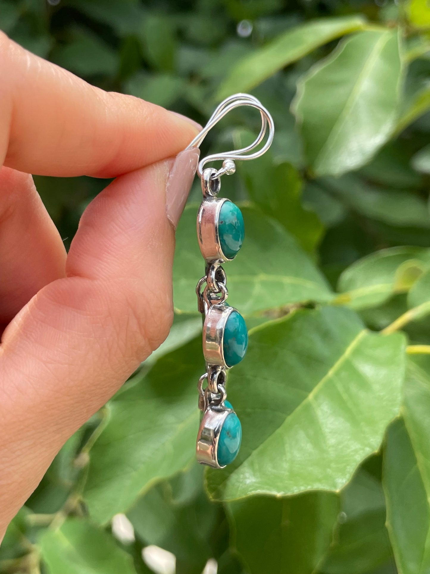Kingman Turquoise Hook Earrings | 925 Sterling Silver D186