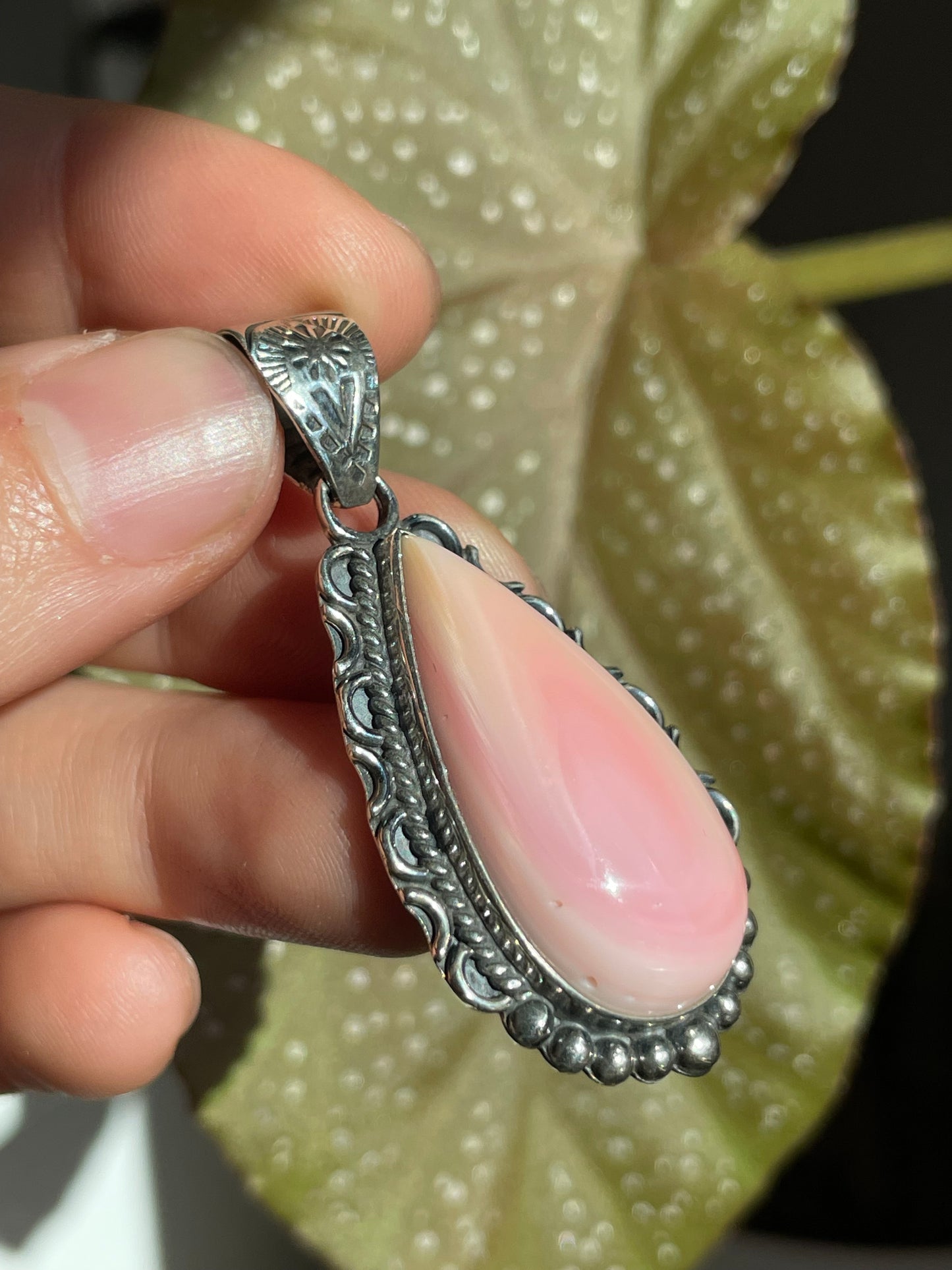 Pink Conch Tear Drop Pendant | Sterling Silver 925 B855