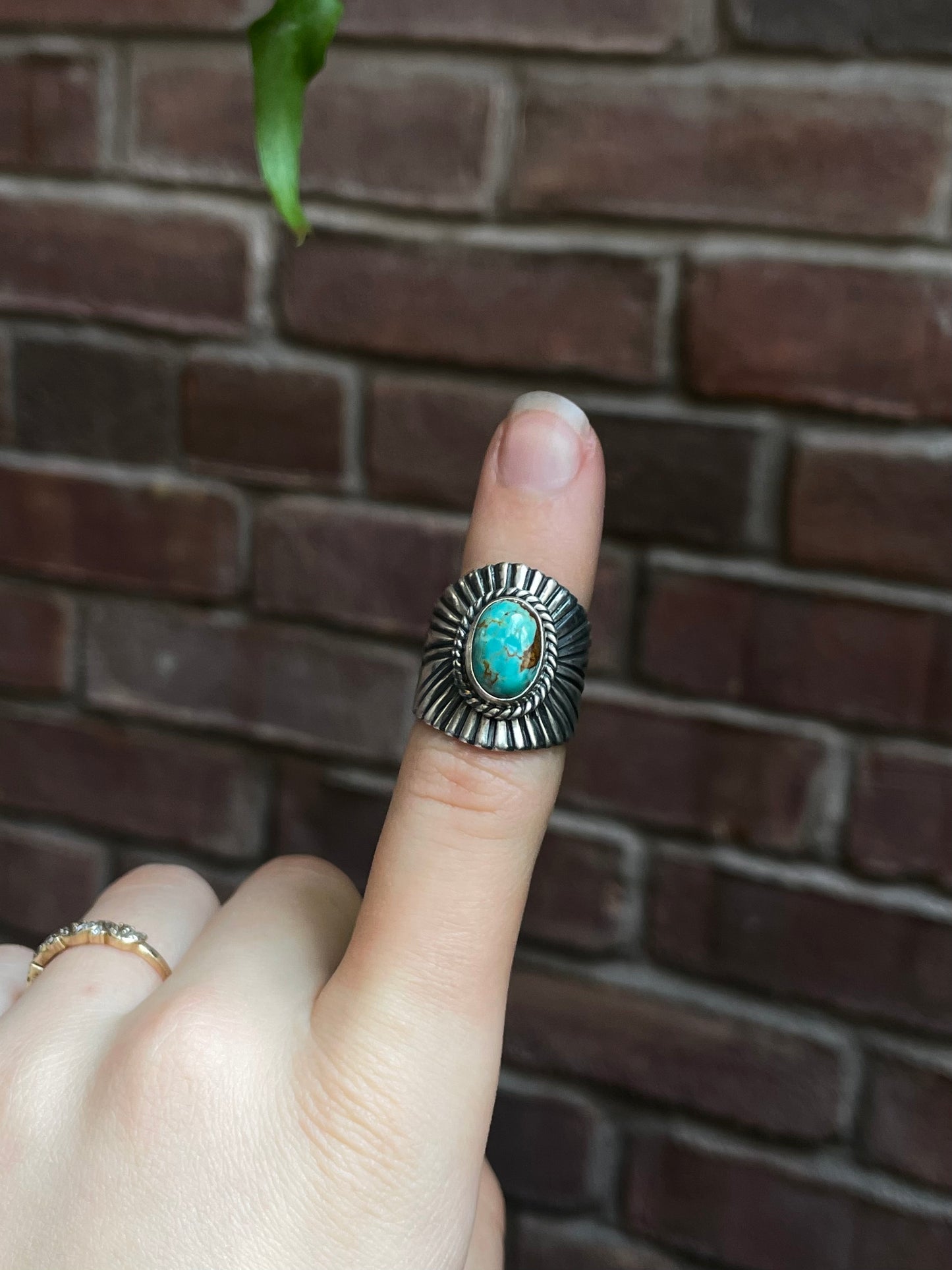 Kingman Turquoise Ring | 925 Sterling Silver | Size 7 E309