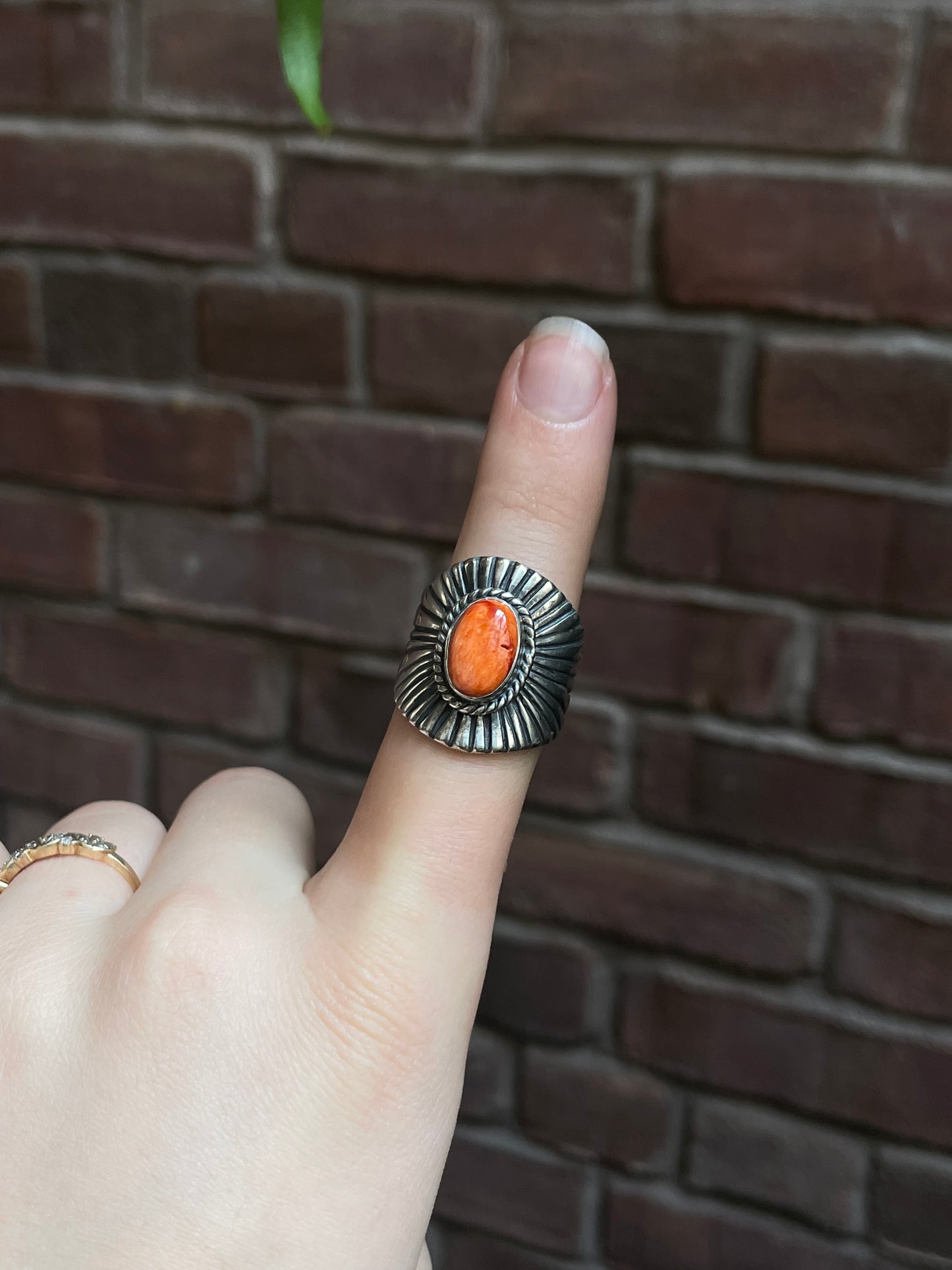 Spiny Oyster Sunburst Ring Size 9 | 925 Sterling Silver E311