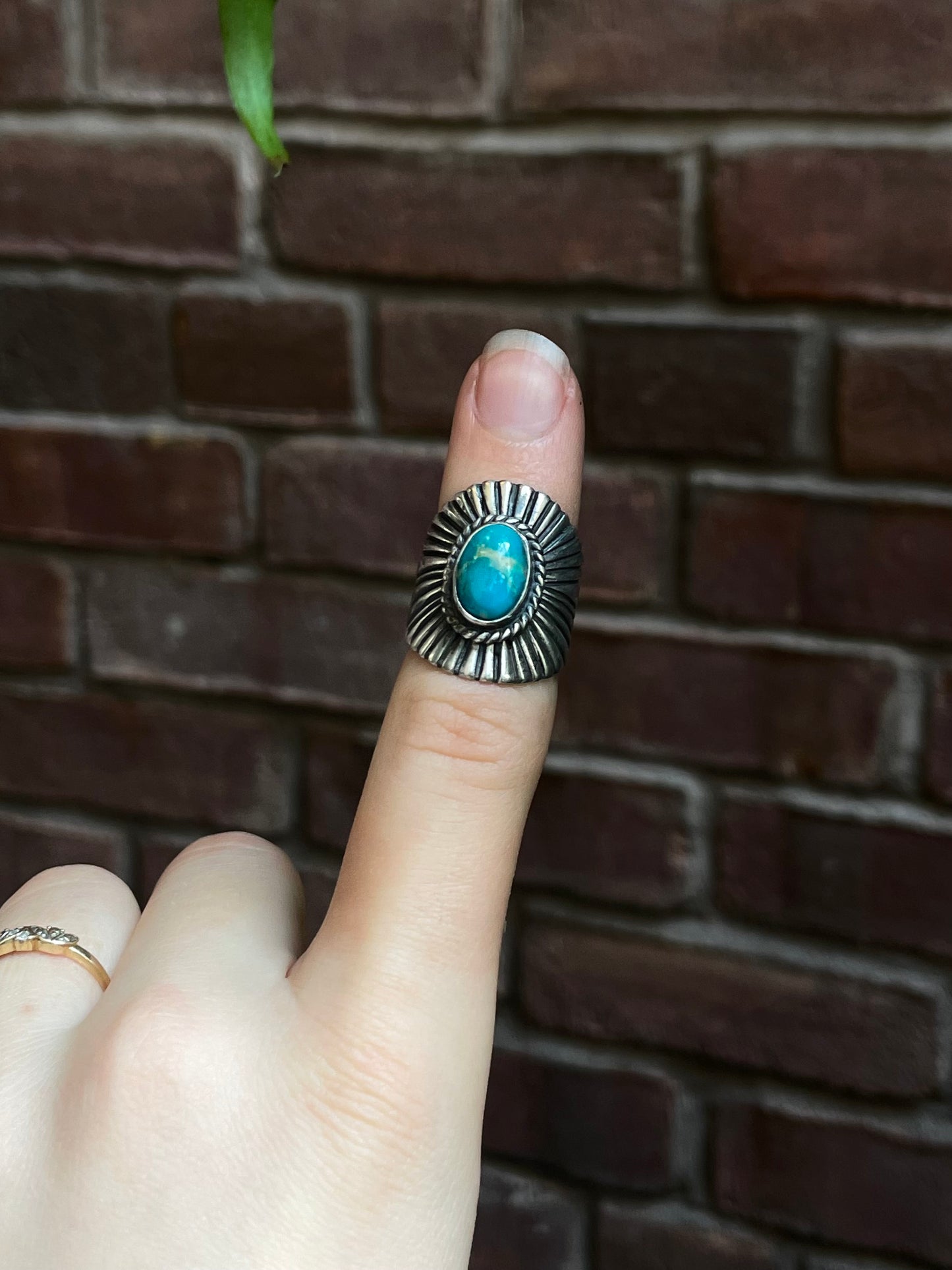 Kingman Turquoise Ring | 925 Sterling Silver | Size 6 E314