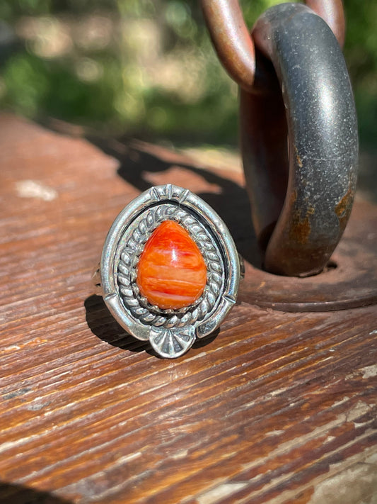 Spiny Oyster Rope Design Ring Size 6 | Sterling Silver 925 B373