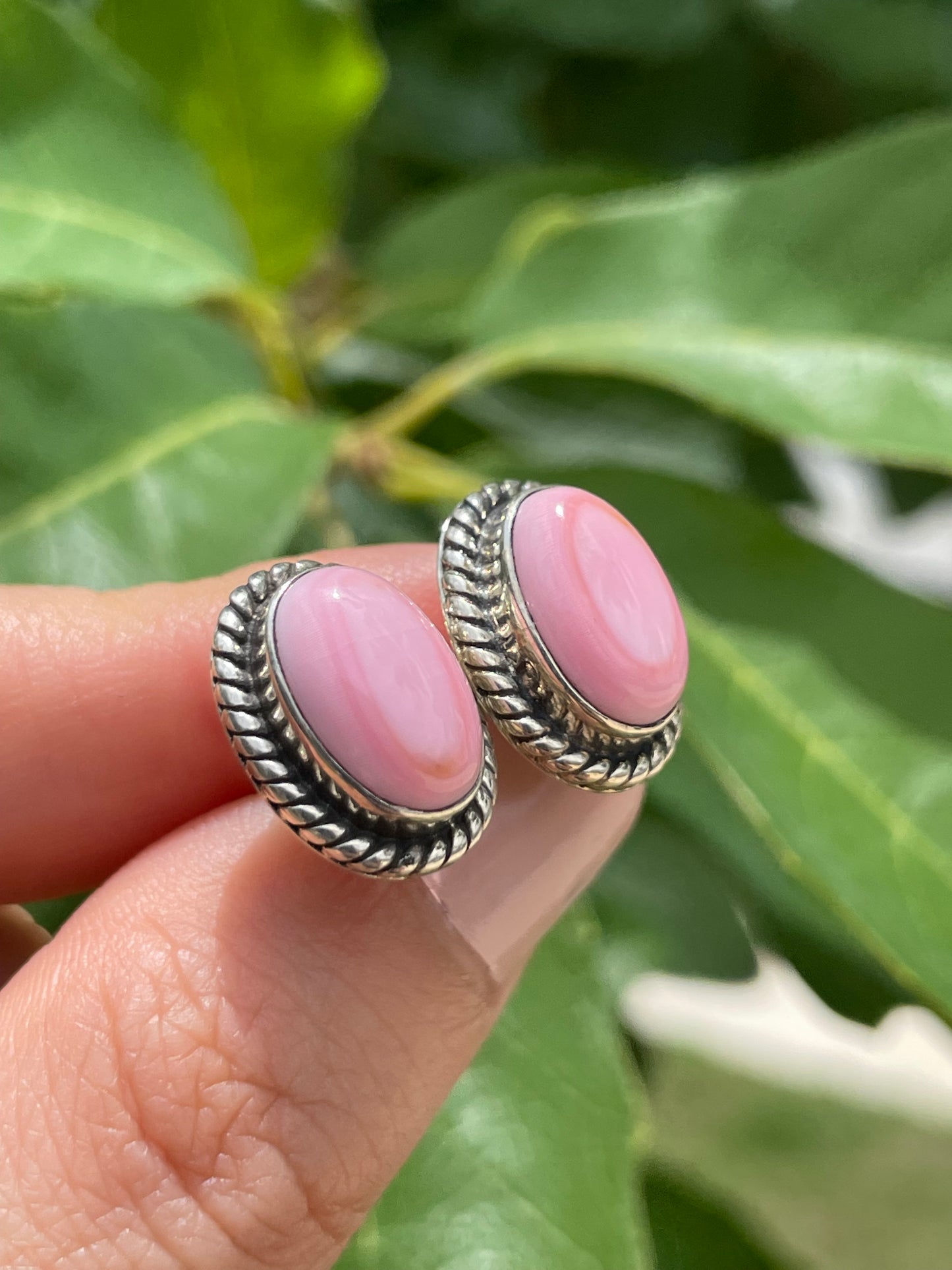 Pink Conch Stud Earrings | 925 Sterling Silver D194