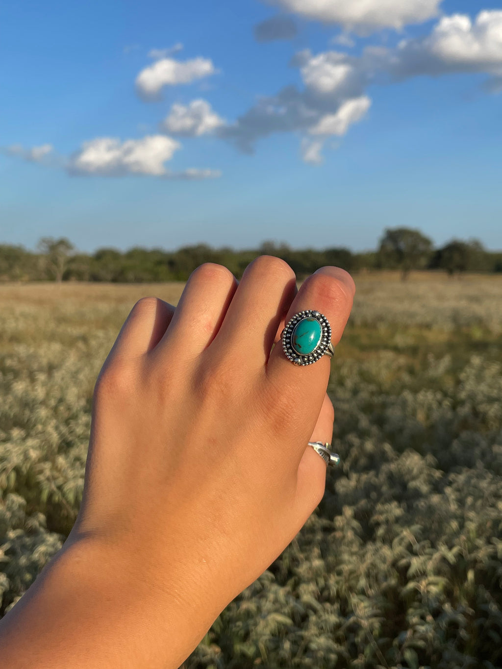 Turquoise Oval Ring Size 8 | 925 Sterling Silver G740
