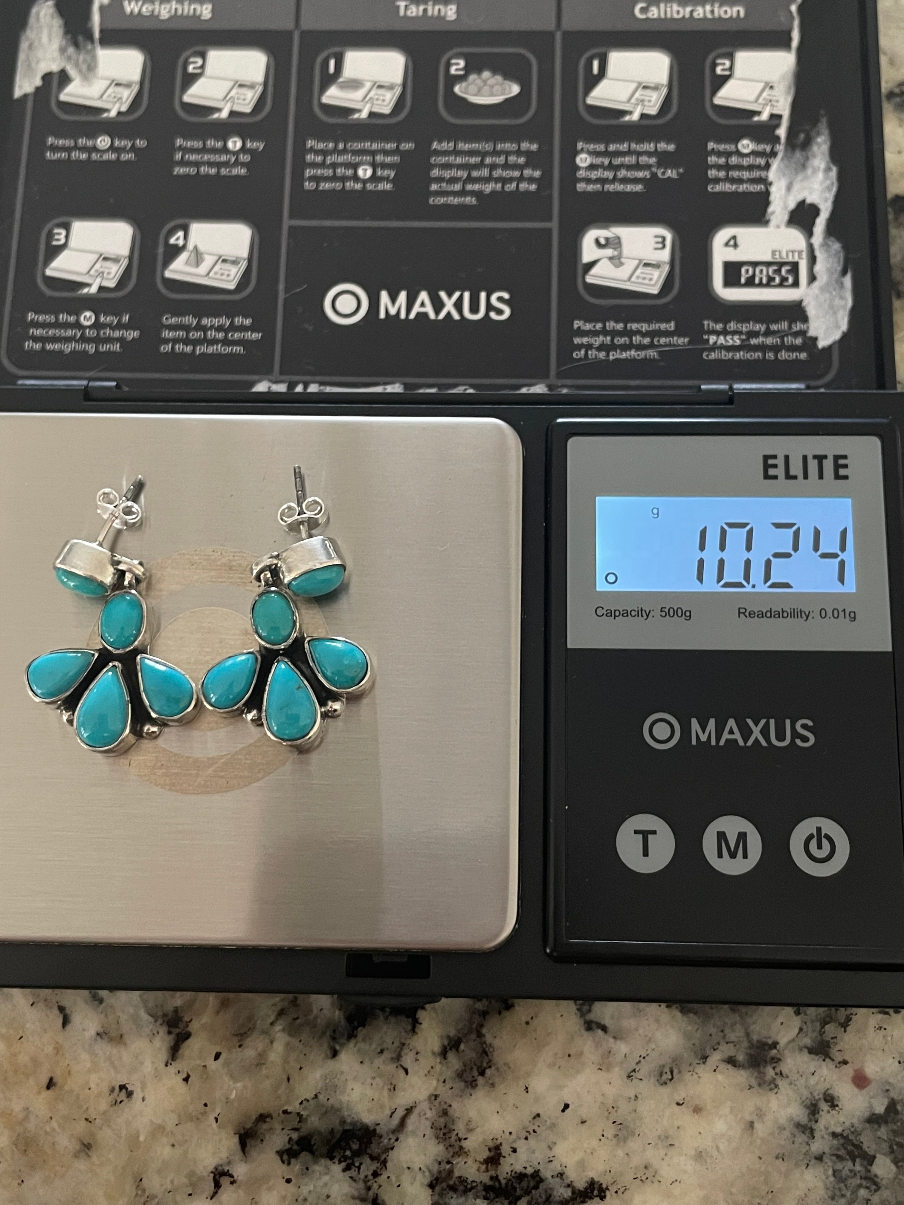 Kingman Turquoise Drop Earrings | 925 Sterling Silver E411