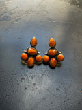 Spiny Oyster Cluster Stud Earrings | 925 Sterling Silver G653