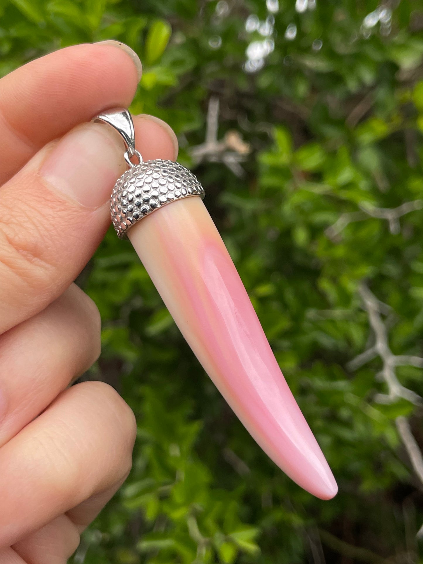 Pink Conch Tusk Pendant | 925 Sterling Silver B619