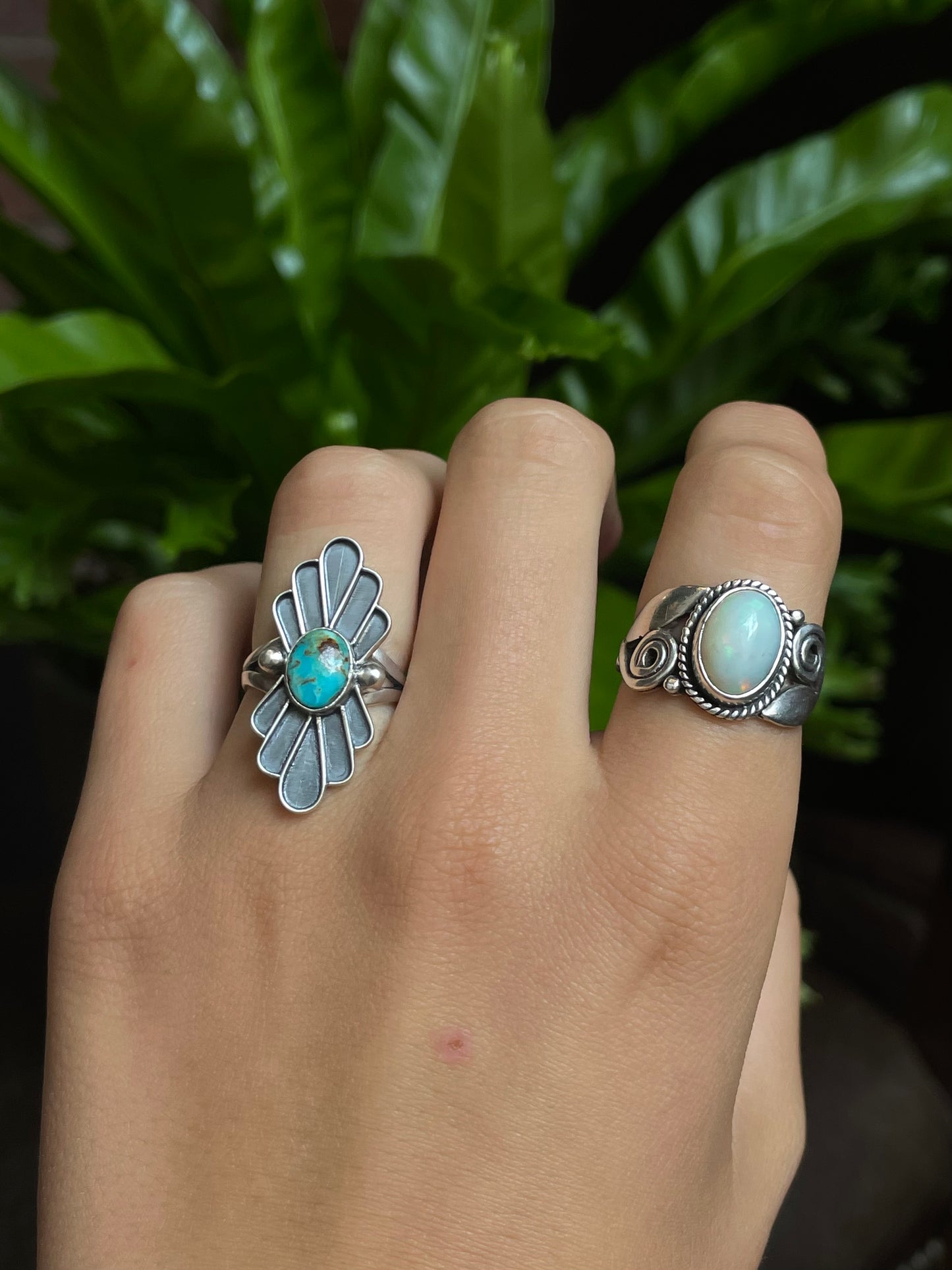 Kingman Turquoise Ring | Sterling Silver | Size 6 G318