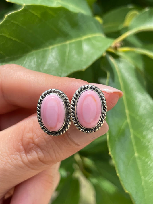 Pink Conch Stud Earrings | 925 Sterling Silver D194