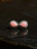 Pink Conch Teardrop Stud Earrings | 925 Sterling Silver E789