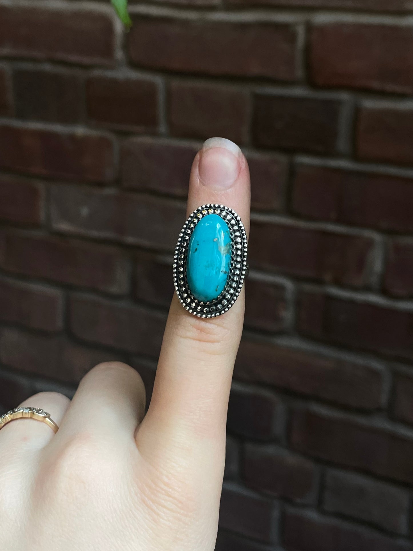 Kingman Turquoise Ring | 925 Sterling Silver | Size 6 E315