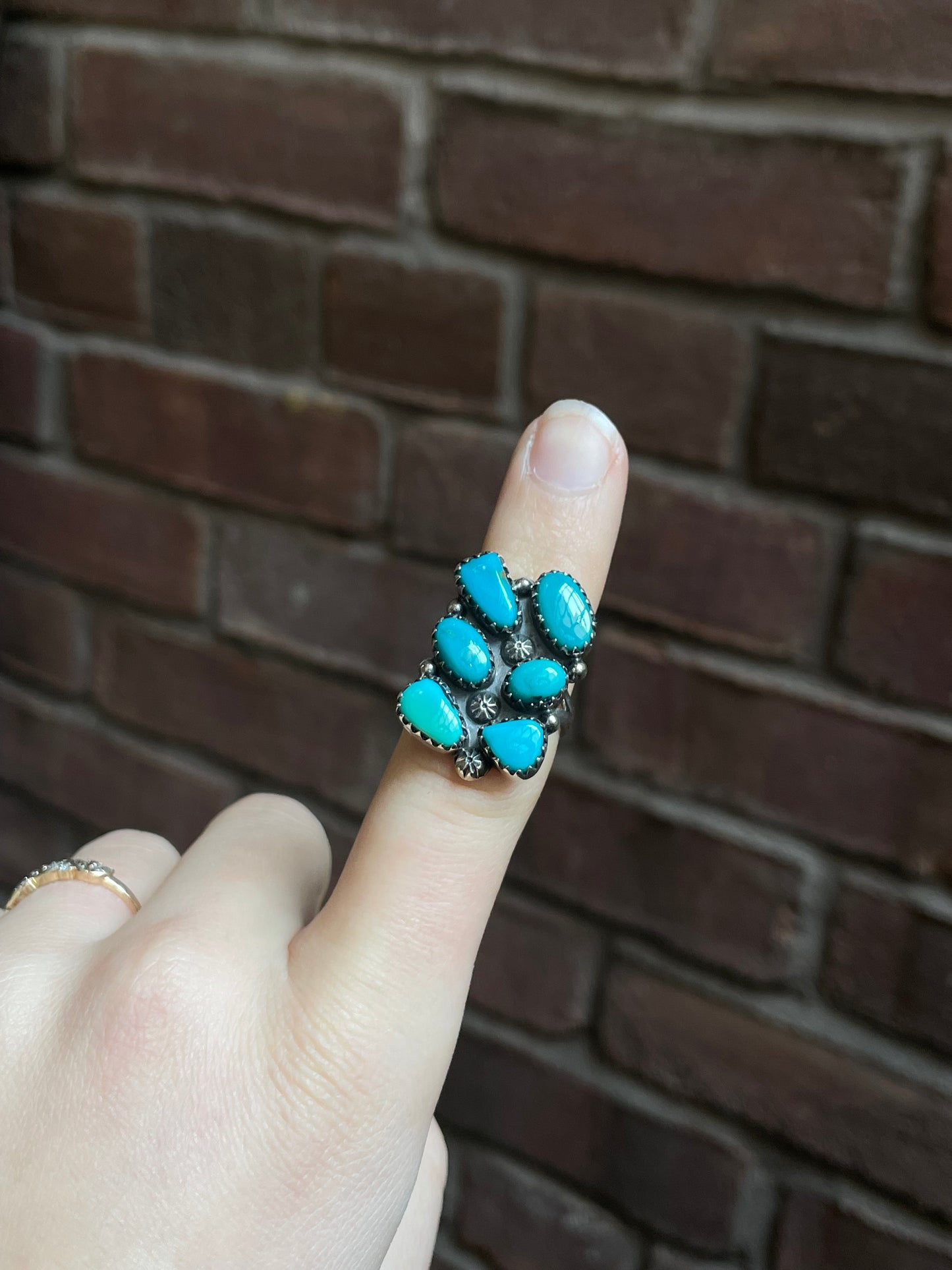 Kingman Turquoise Double Row Ring Size 7 | 925 Sterling Silver Southwest E197