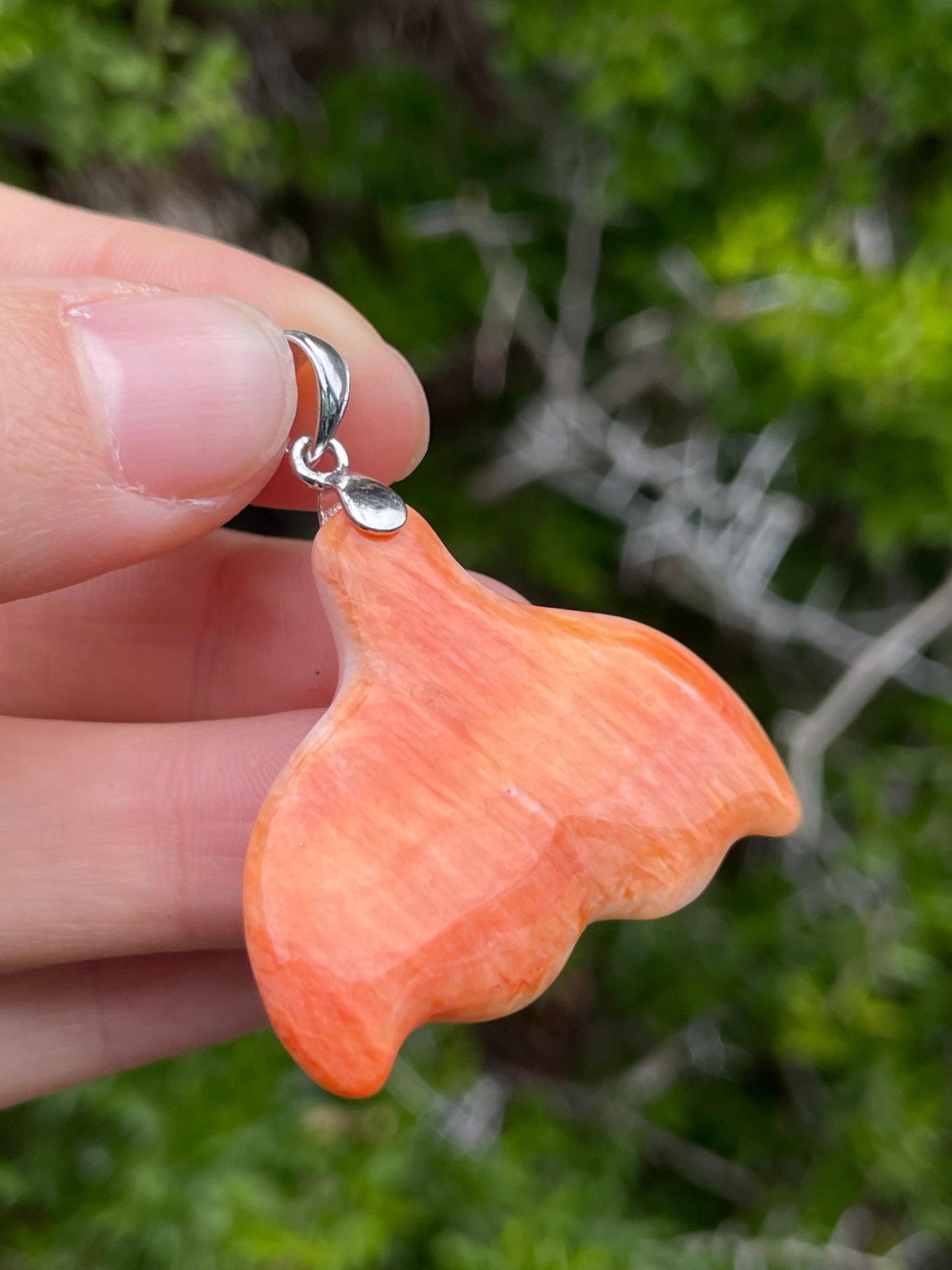 Spiny Oyster Whale Tail Pendant | Sterling Silver 925 B736