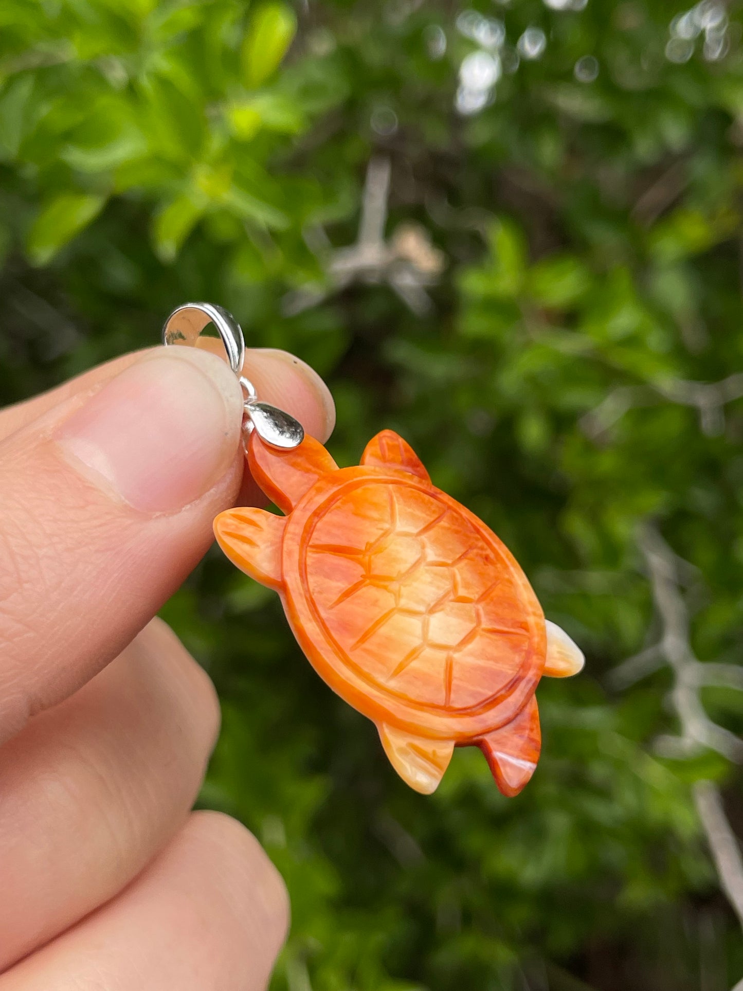 Spiny Oyster Turtle Pendant | 925 Sterling Silver B618
