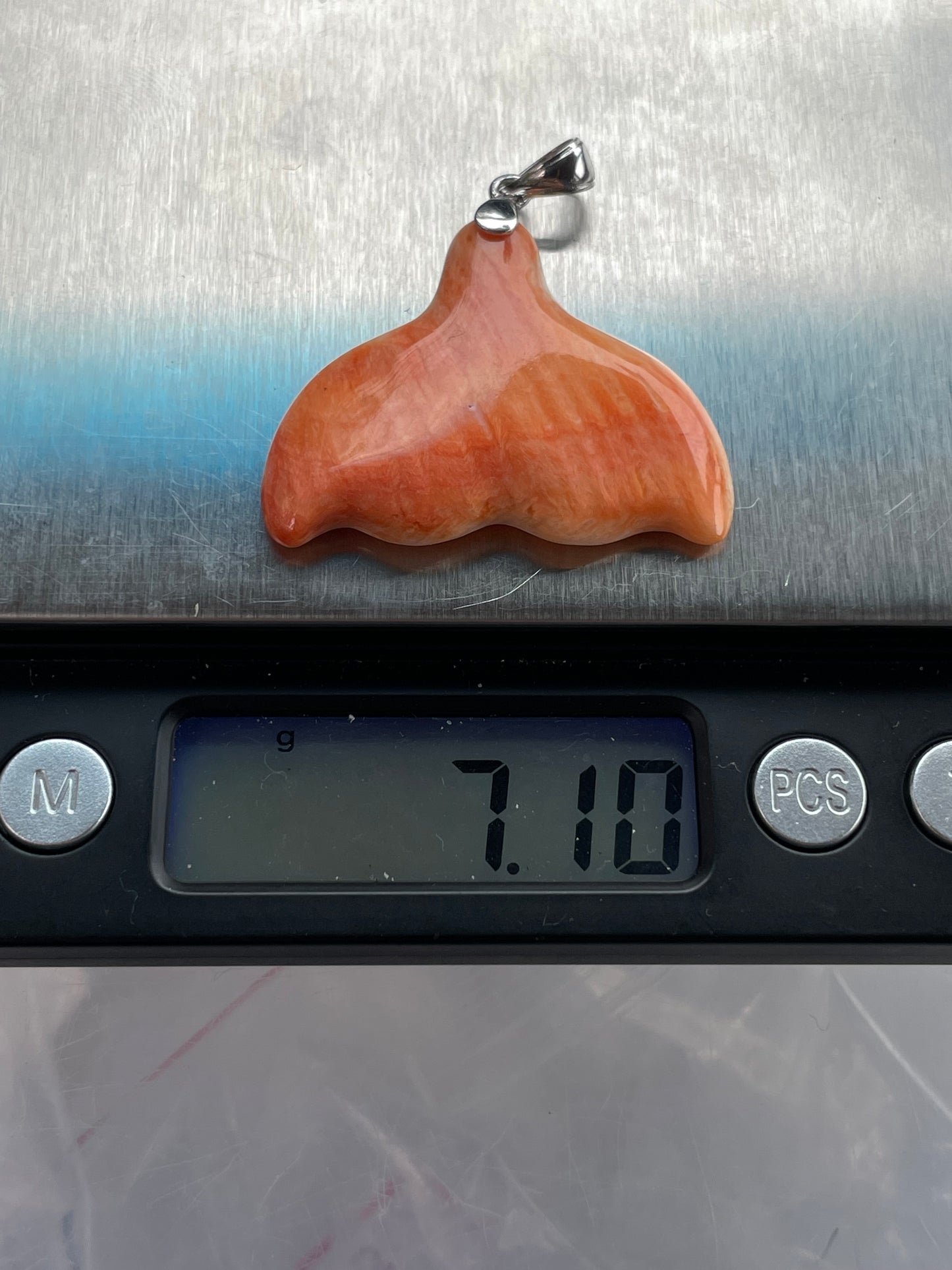 Spiny Oyster Whale Tail Pendant | Sterling Silver 925 B736
