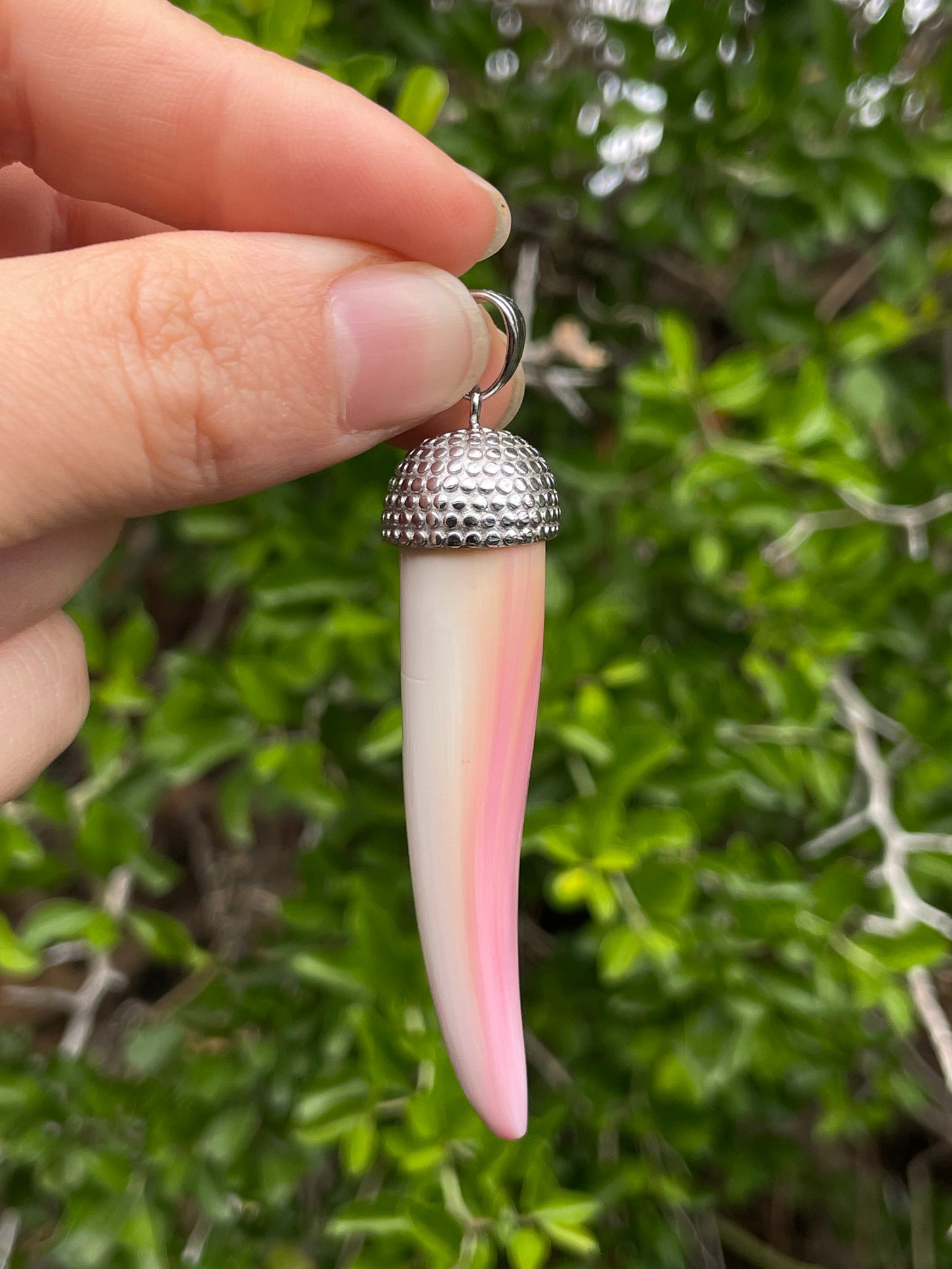 Pink Conch Tusk Pendant | 925 Sterling Silver B619