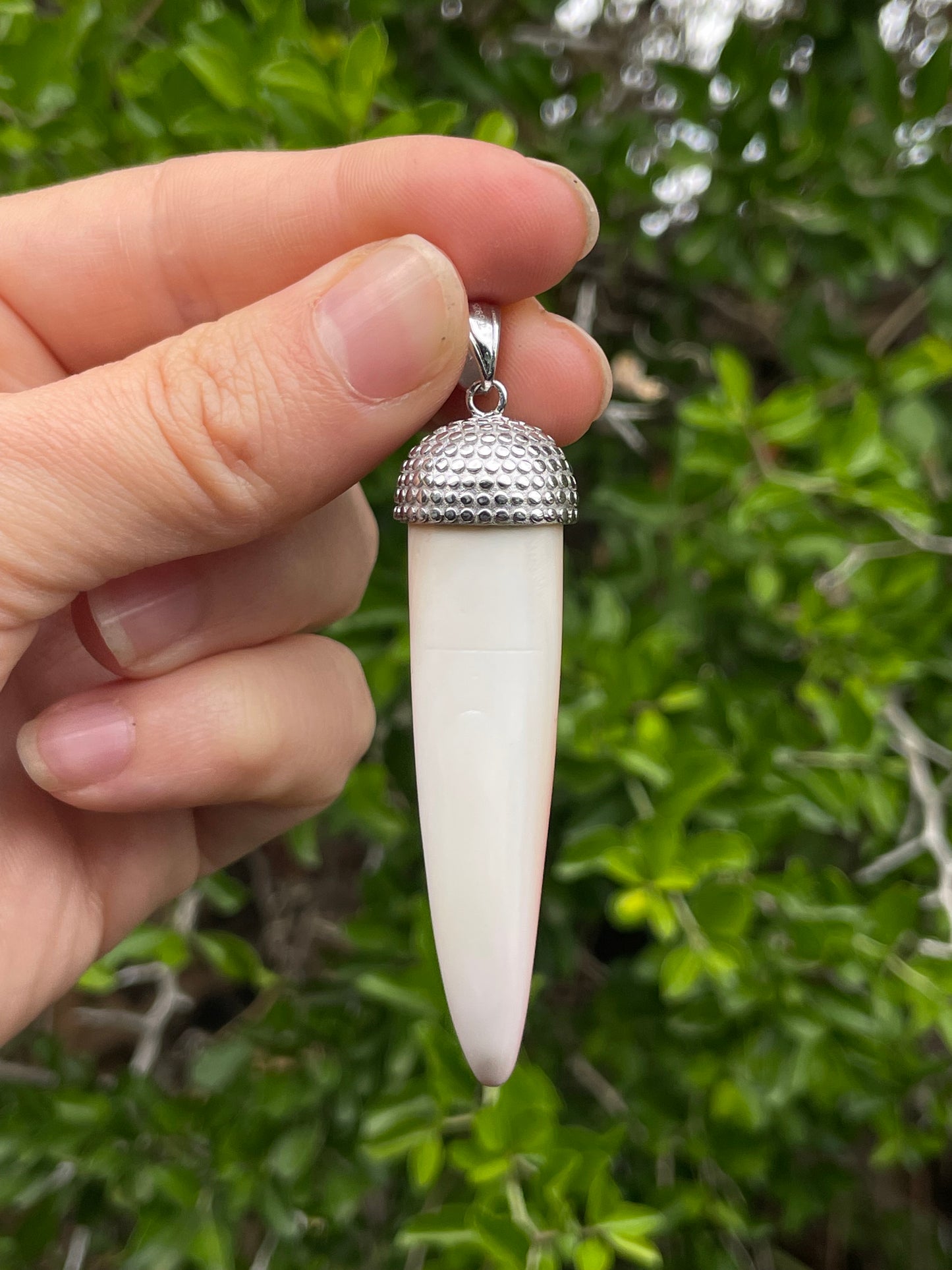 Pink Conch Tusk Pendant | 925 Sterling Silver B619