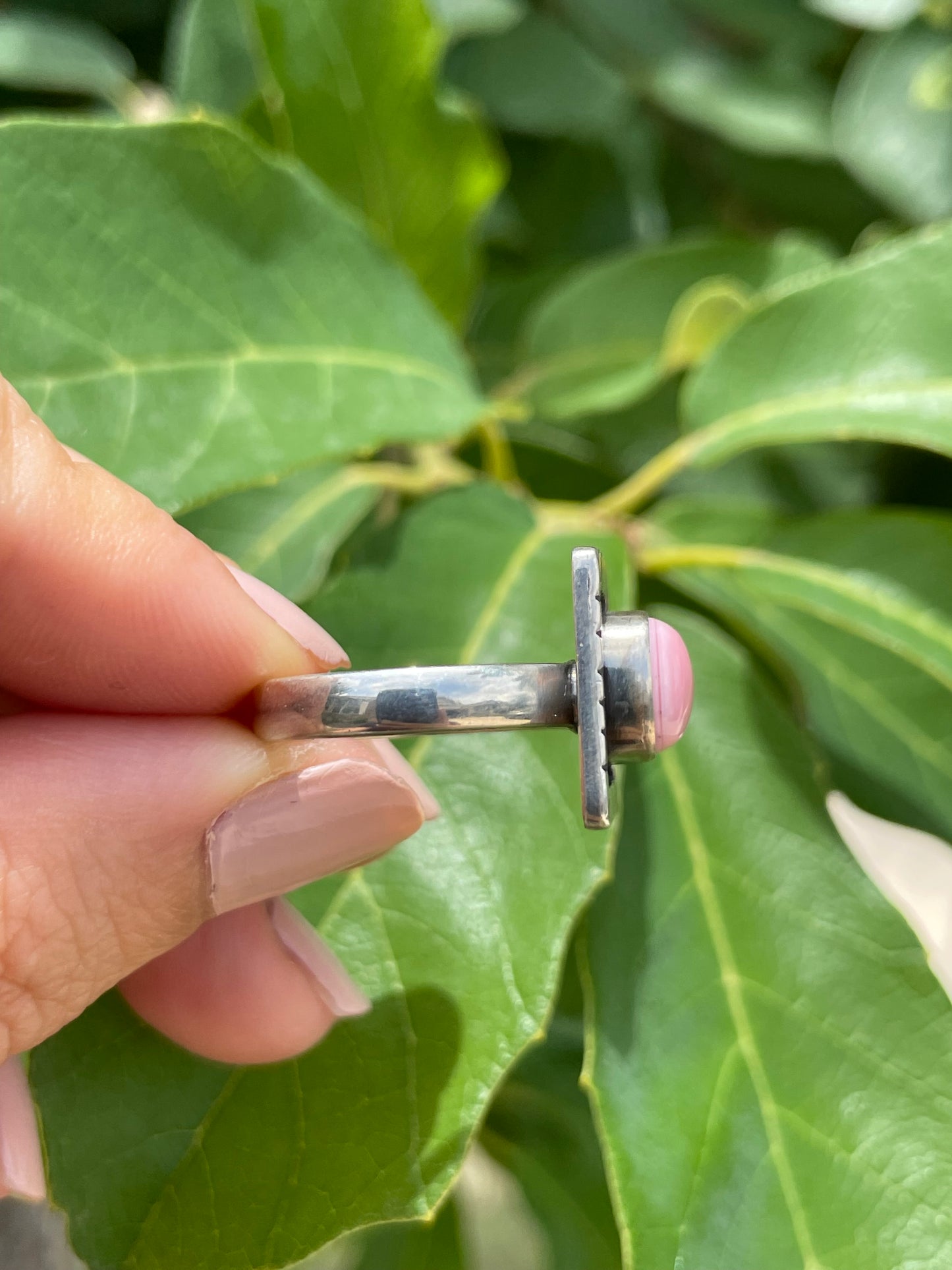 Pink Conch Ring Size 7.5 | 925 Sterling Silver D180