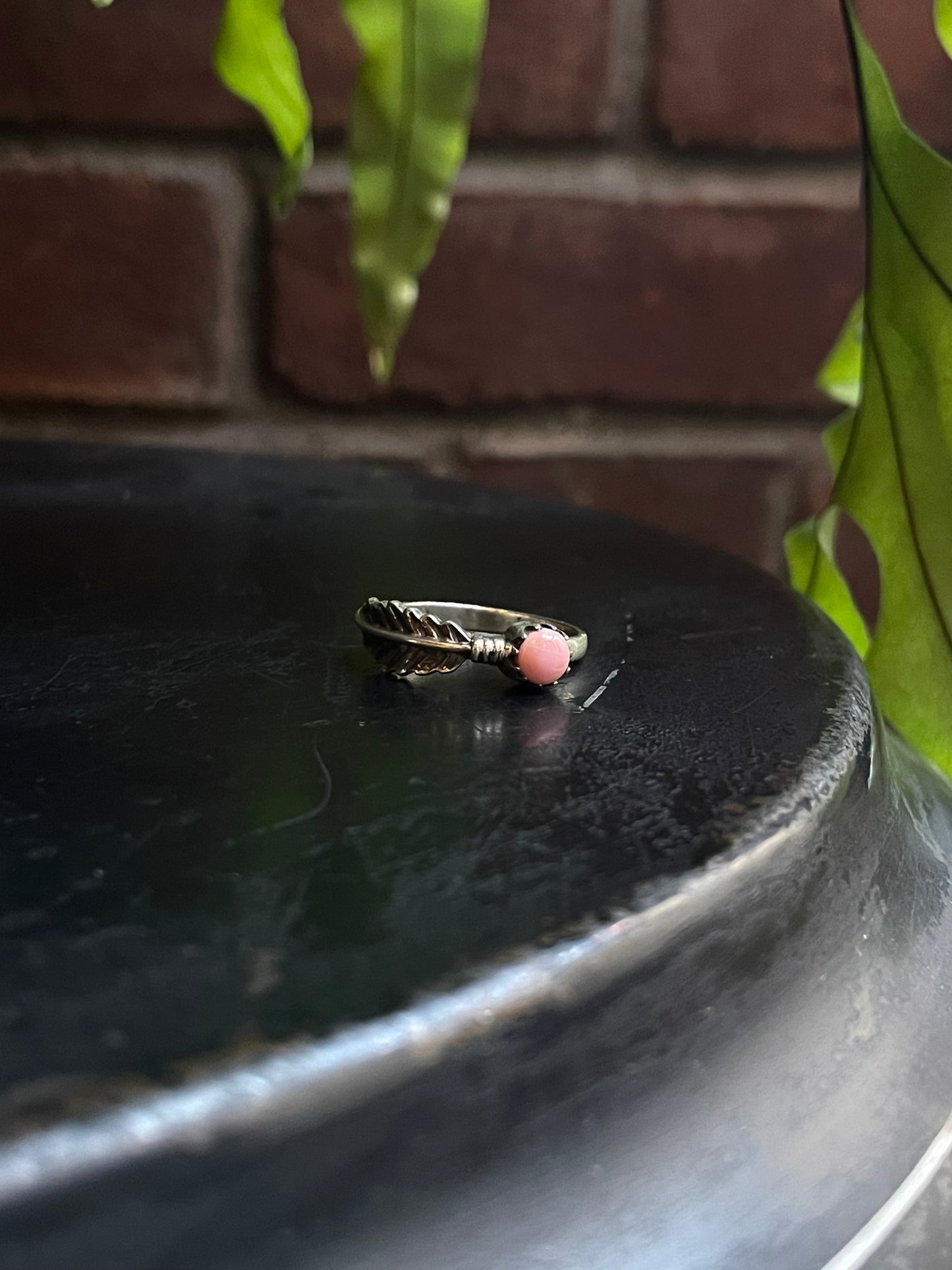Pink Conch Feather Ring | Sterling Silver 925 Size 8 C742