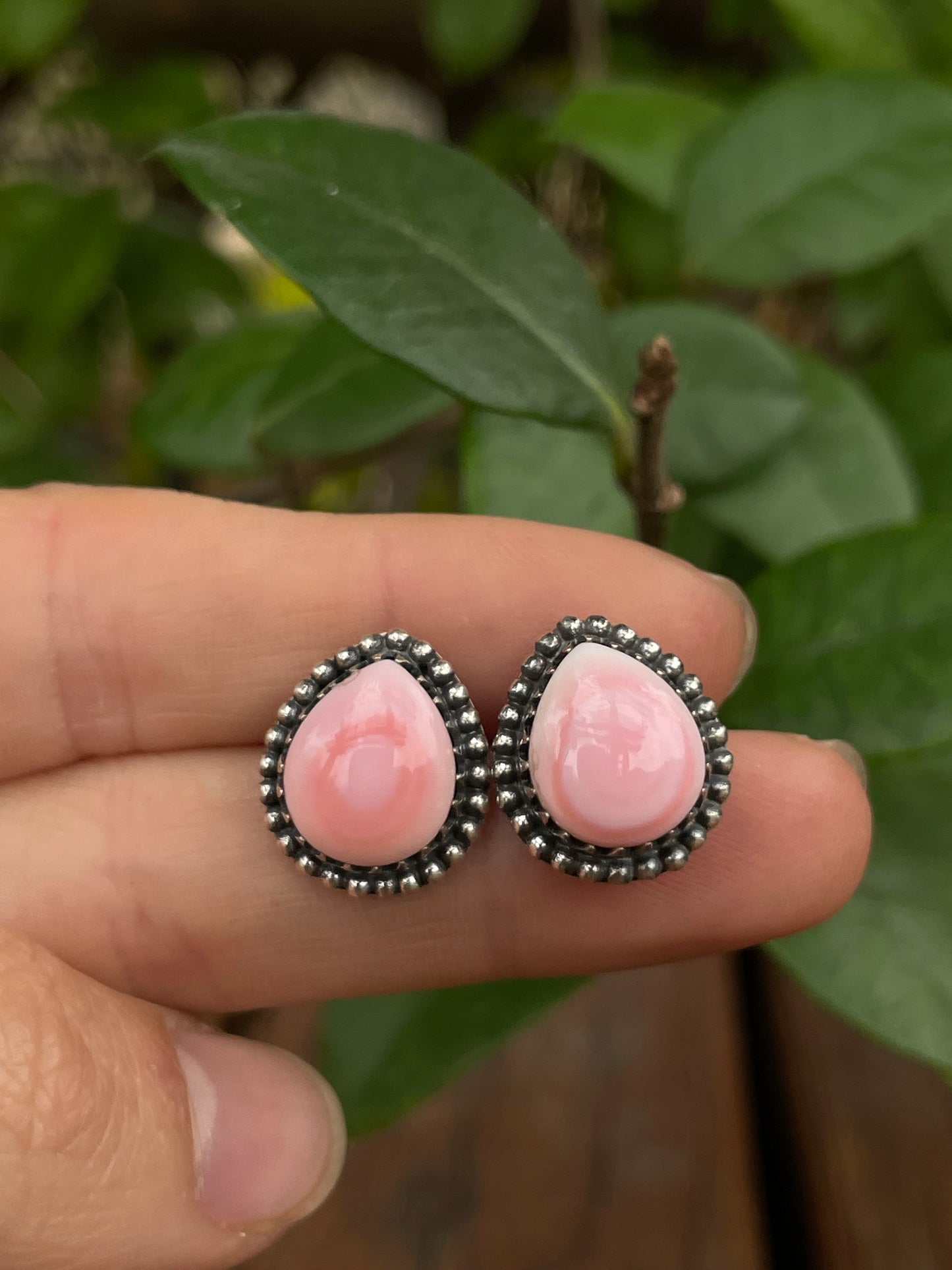 Pink Conch Tear Drop Stud Earrings | 925 Sterling Silver B964