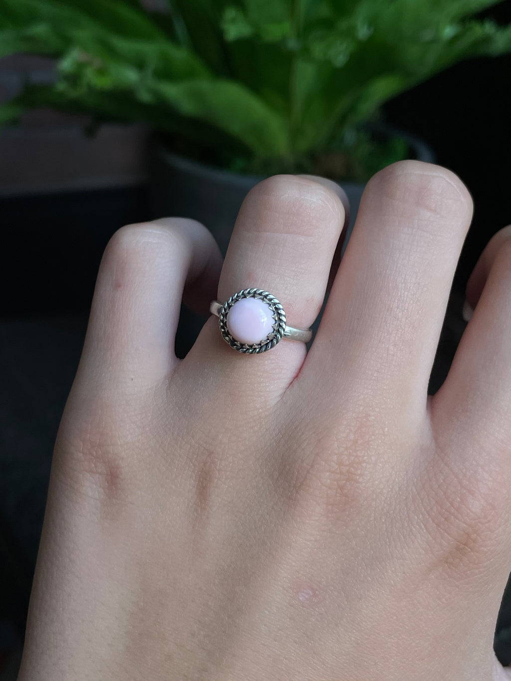 Pink Conch Ring Size 6 | 925 Sterling Silver G539